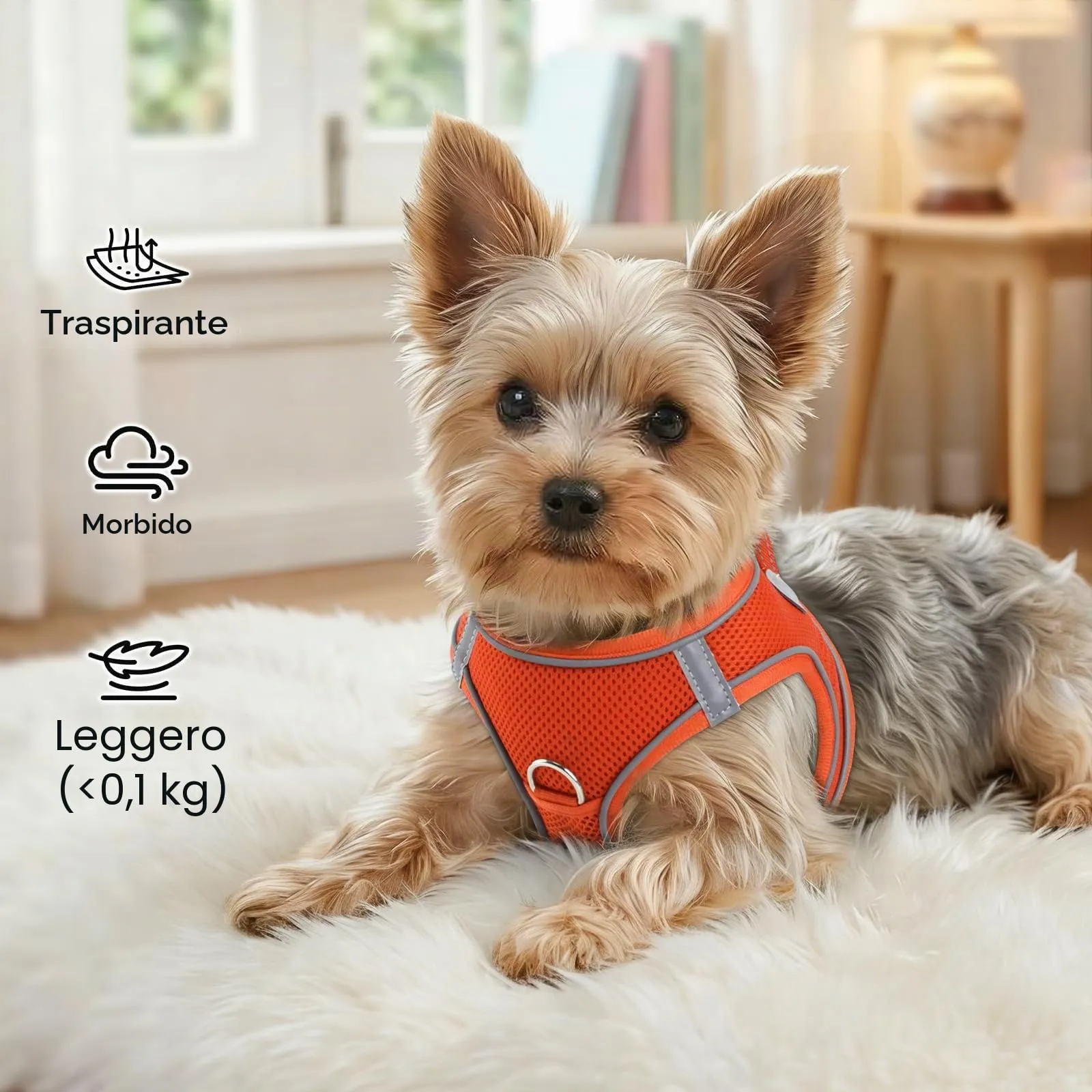 Joytale Pettorina Cane Piccola, Maglia Morbida Traspirante, Arancione S - immagine 4