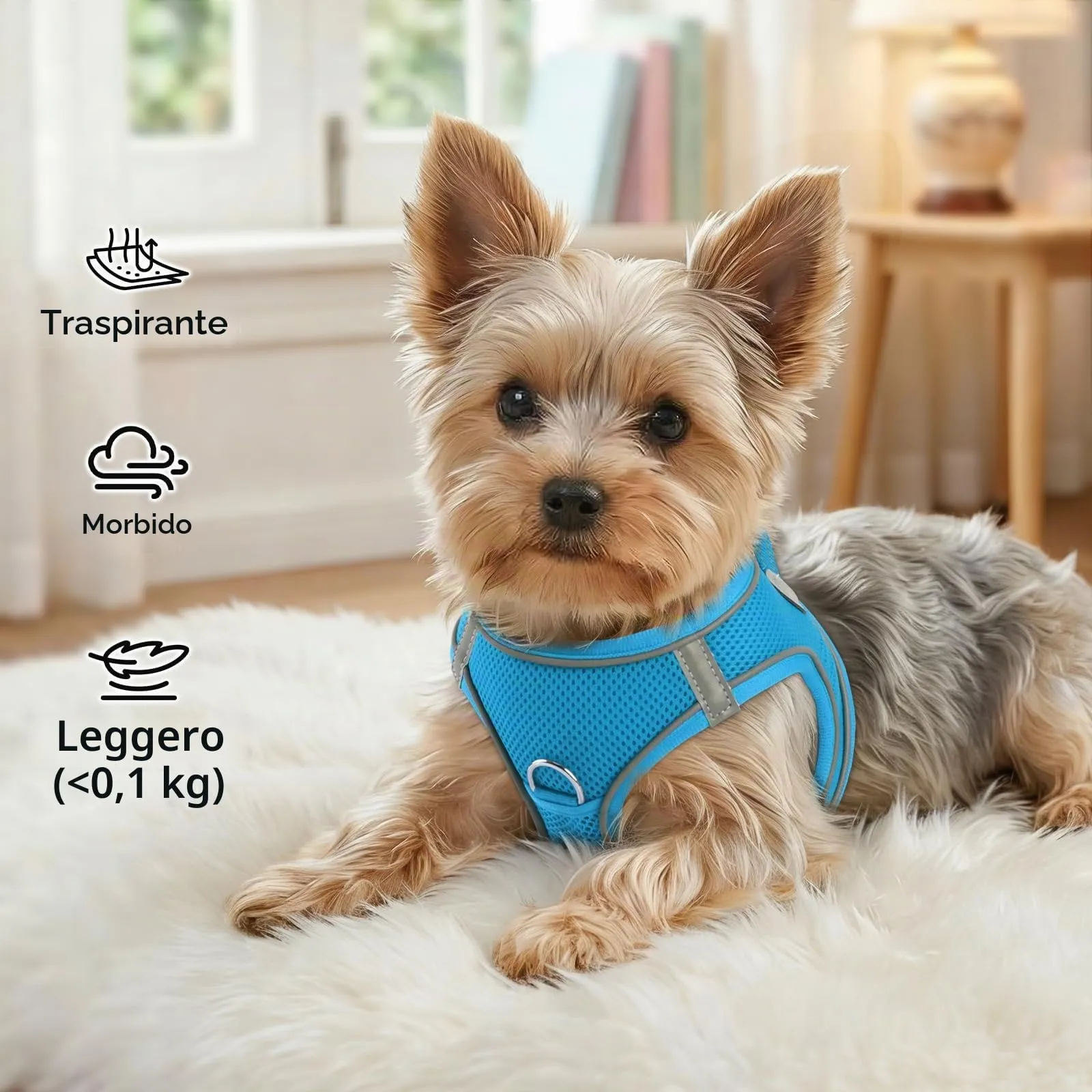 Joytale Pettorina Cane Piccola, Maglia Morbida Traspirante, Azzurro L - immagine 4