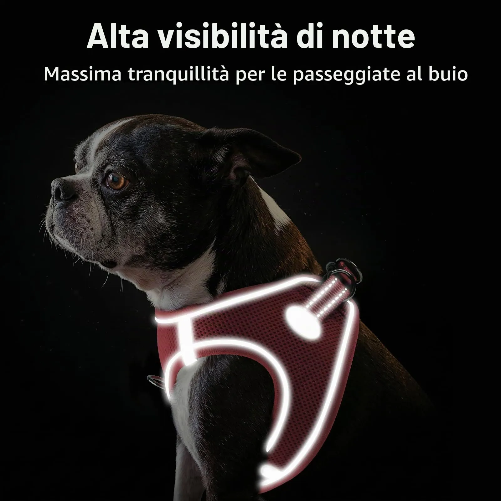 Joytale Pettorina Cane Piccola, Maglia Morbida Traspirante, Rosa XS - immagine 5