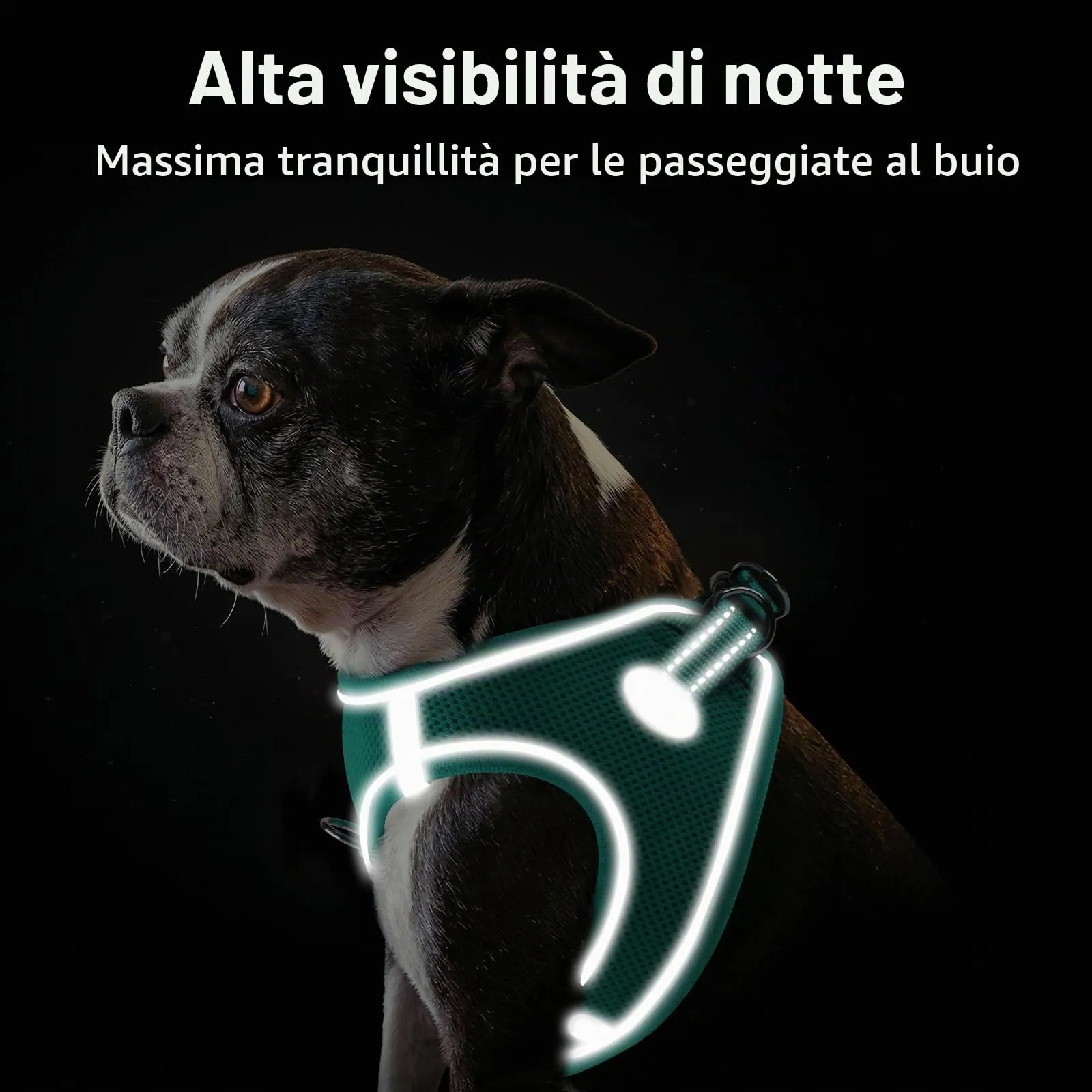 Joytale Pettorina Cane Piccola, Maglia Morbida Traspirante, Verde Acqua XS - immagine 5