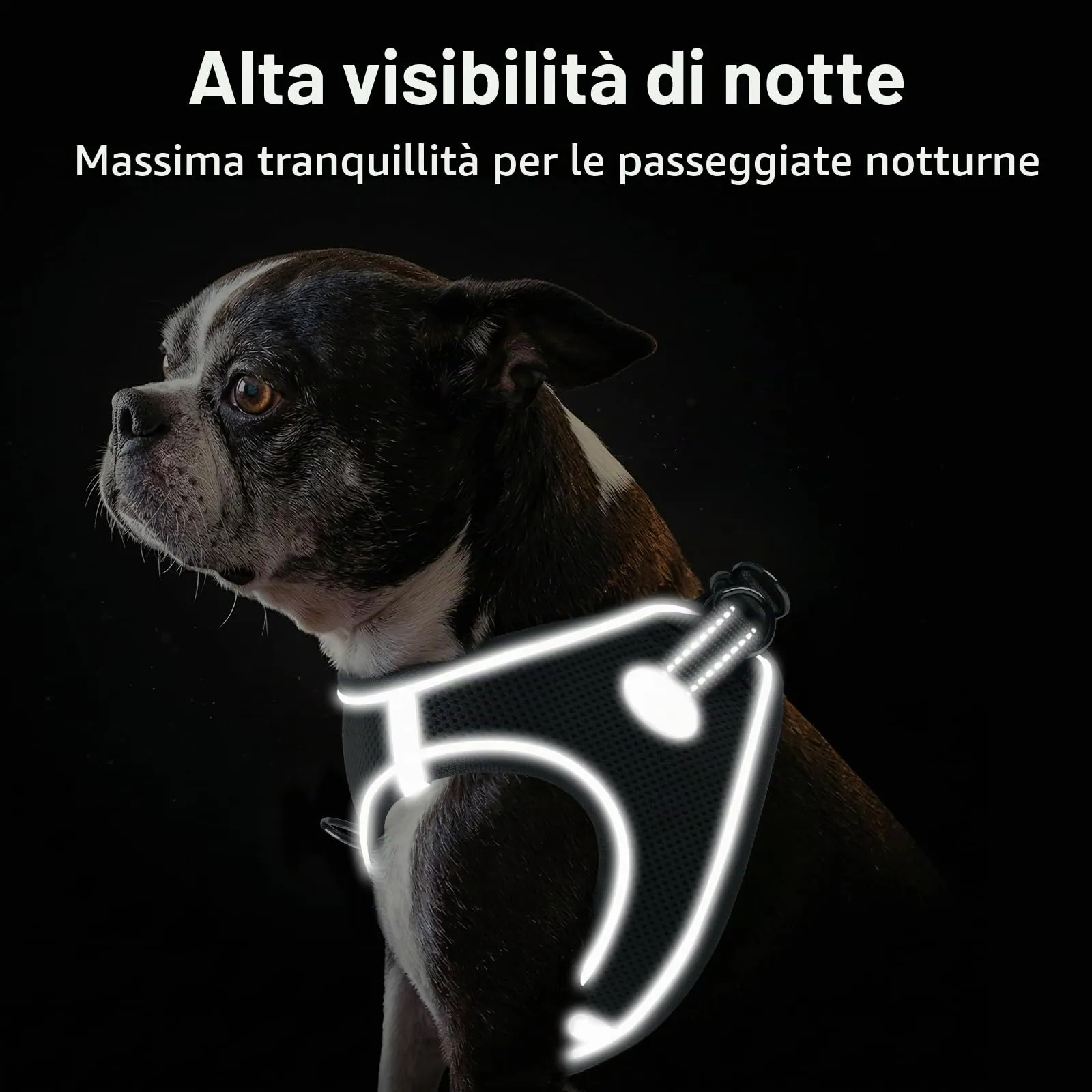 Joytale Pettorina Cane Piccola, Maglia Morbida Traspirante, Grigio S - immagine 5