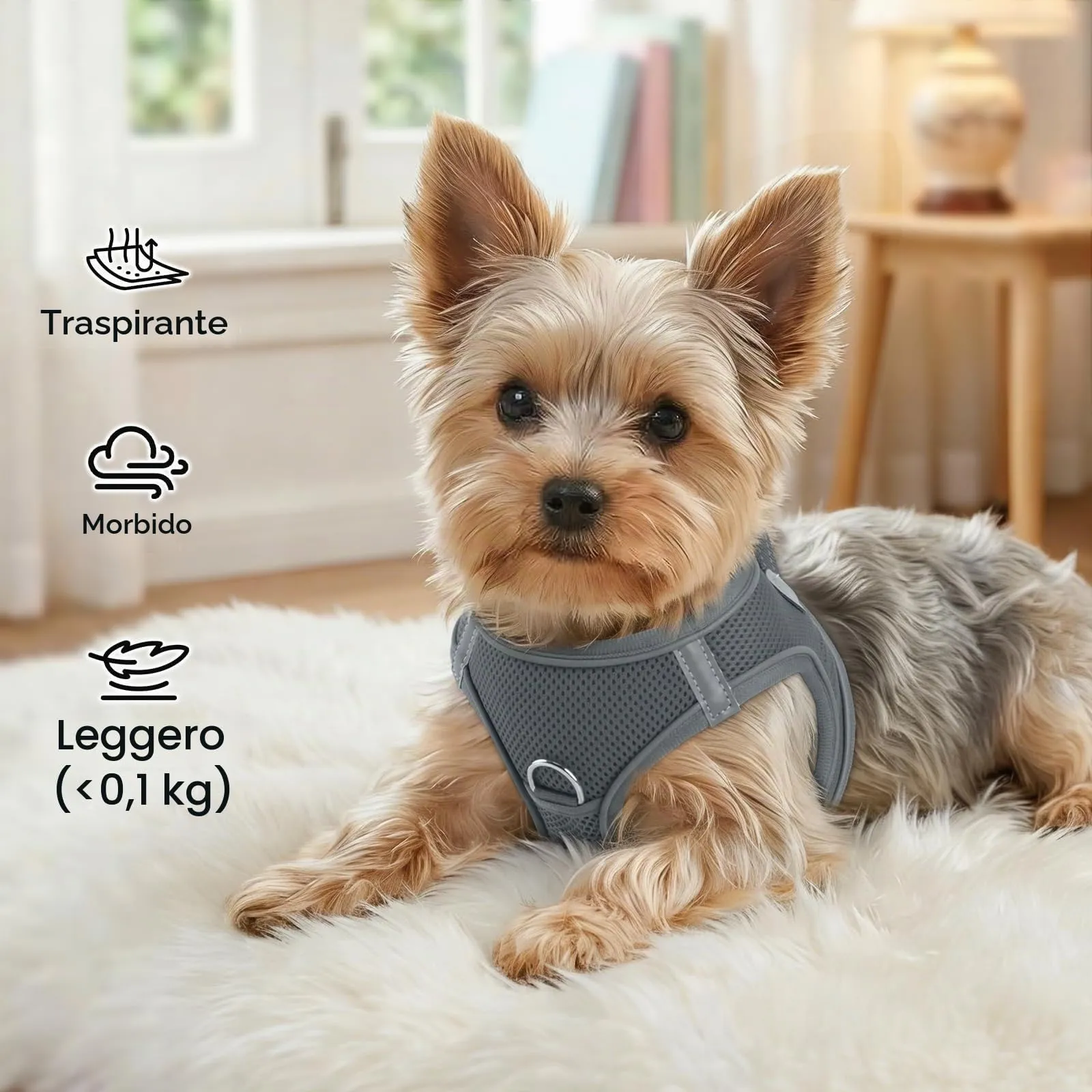 Joytale Pettorina Cane Piccola, Maglia Morbida Traspirante, Grigio L - immagine 4