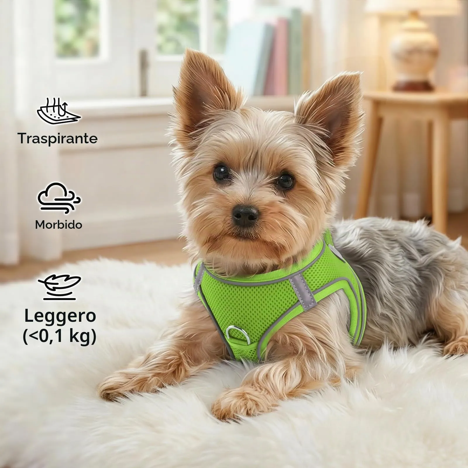 Joytale Pettorina Cane Piccola, Maglia Morbida Traspirante, Verde S - immagine 4