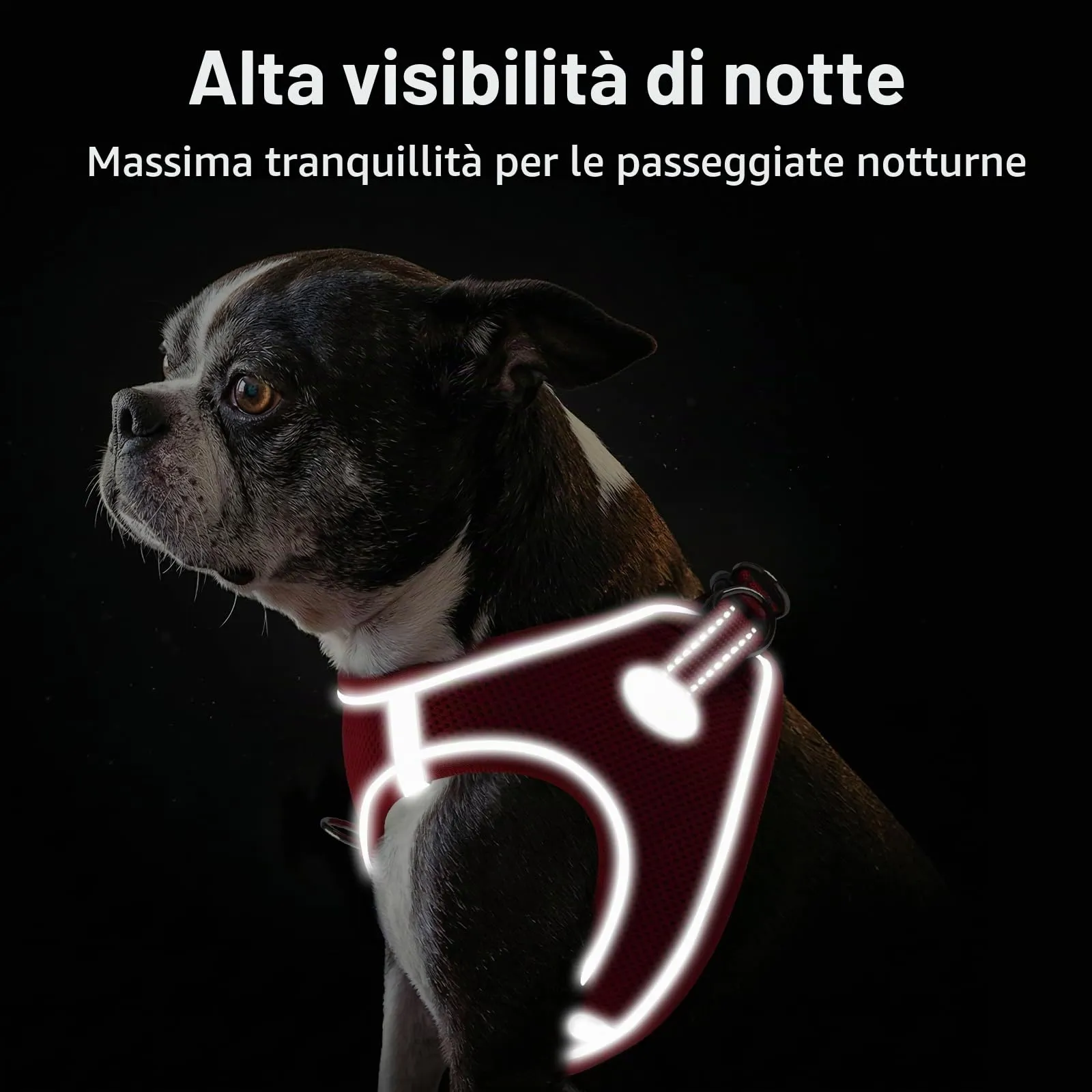 Joytale Pettorina Cane Piccola, Maglia Morbida Traspirante, Rosso L - immagine 5
