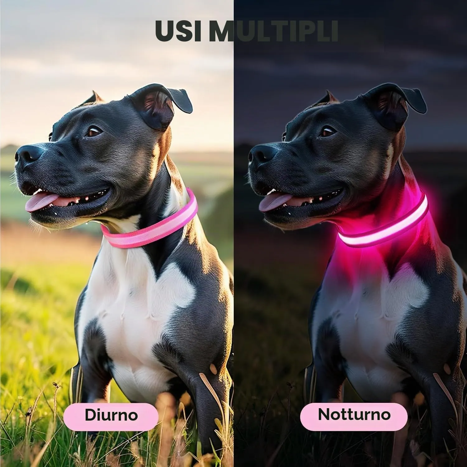 PcEoTllar Collare Luminoso per Cani, Impermeabile, Rosa-M - immagine 6