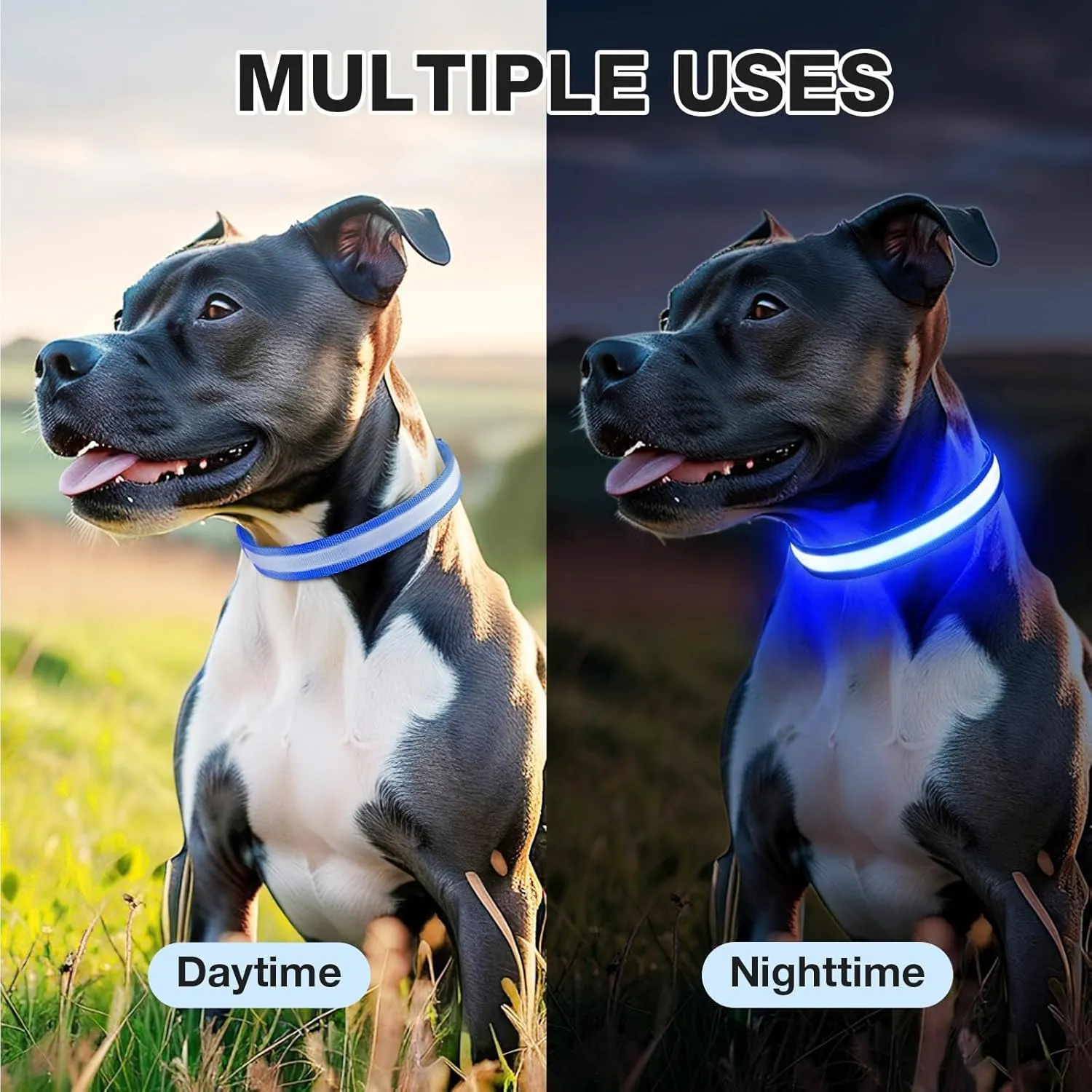 PcEoTllar Collare Luminoso per Cani, Impermeabile, Blu-M - immagine 6