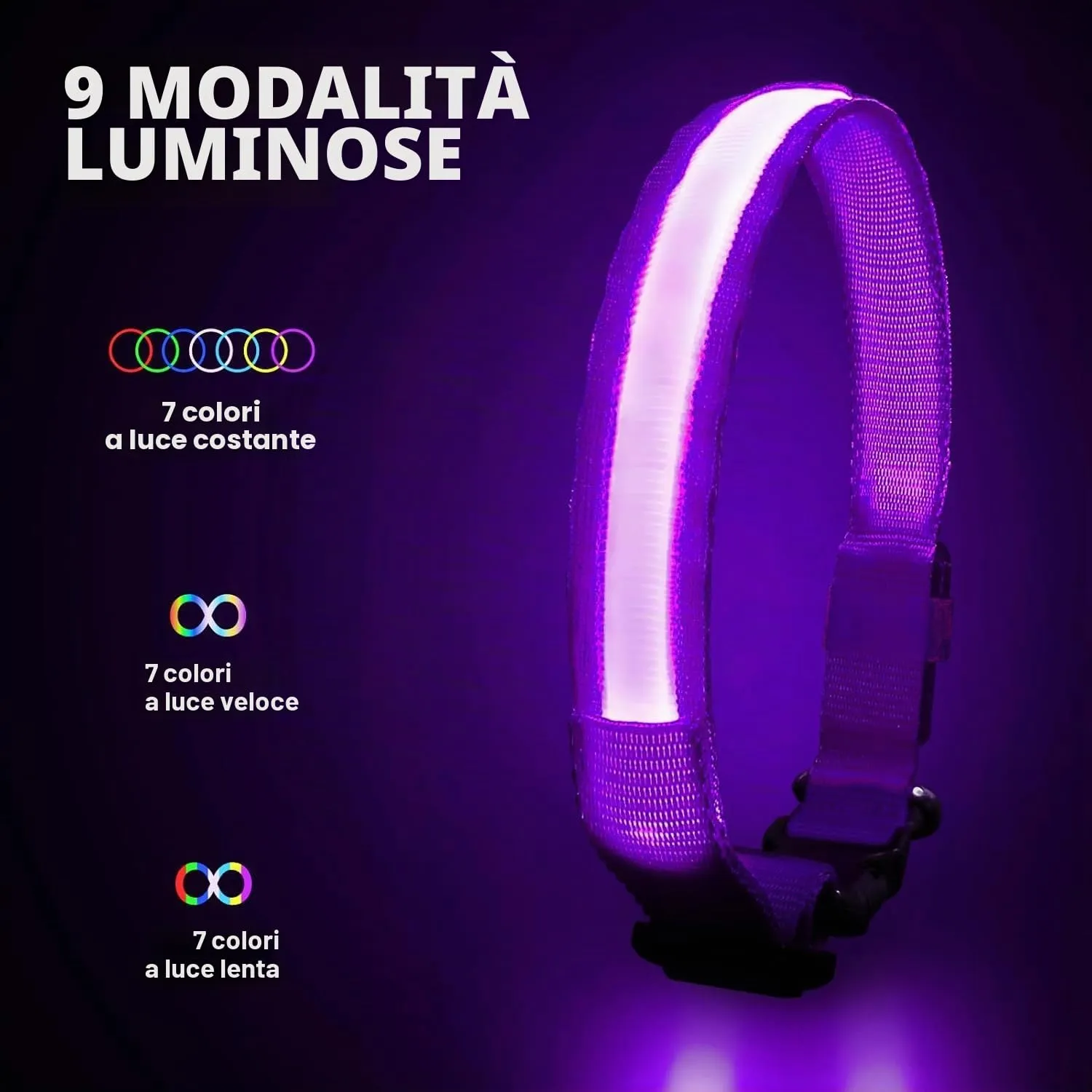 PcEoTllar Collare Luminoso per Cani, Impermeabile, Viola-L - immagine 2