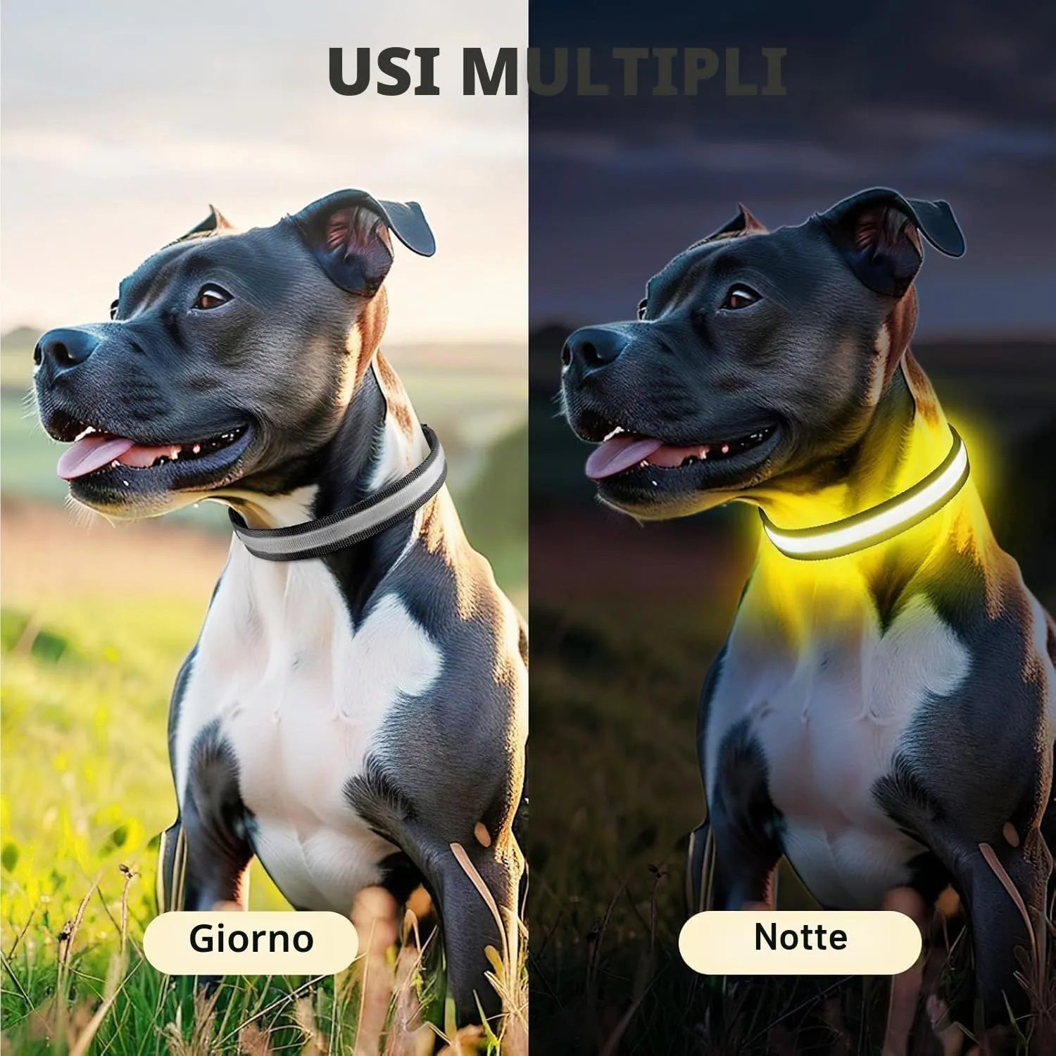 PcEoTllar Collare Luminoso per Cani, Impermeabile, Nero-L - immagine 6