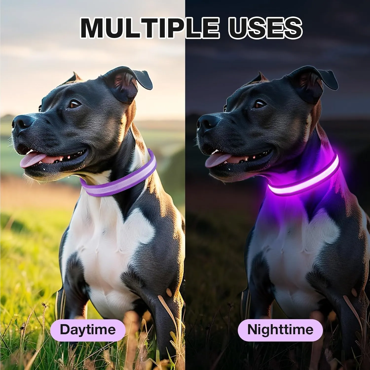 PcEoTllar Collare Luminoso per Cani, Impermeabile, Viola-S - immagine 6