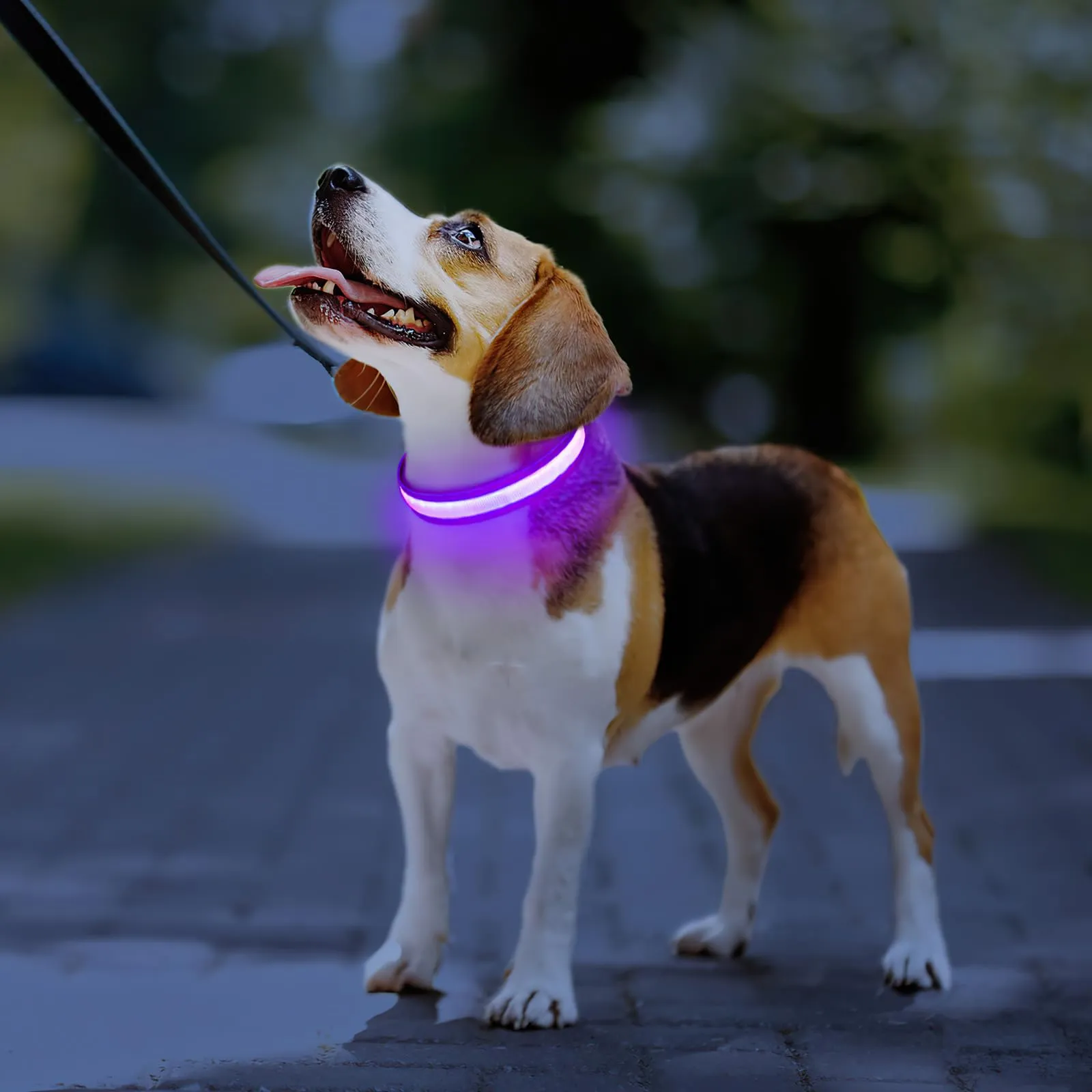 PcEoTllar Collare Luminoso per Cani, Impermeabile, Viola-S - immagine 7