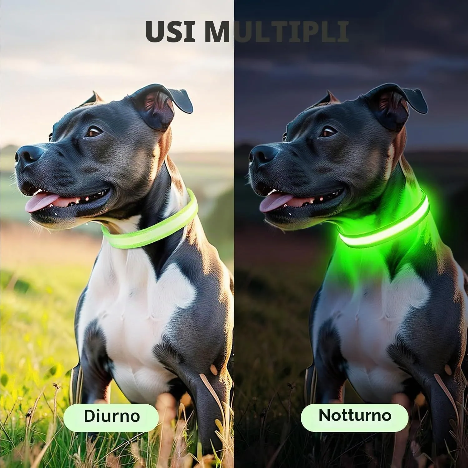 PcEoTllar Collare Luminoso per Cani, Impermeabile, Verde-L - immagine 6