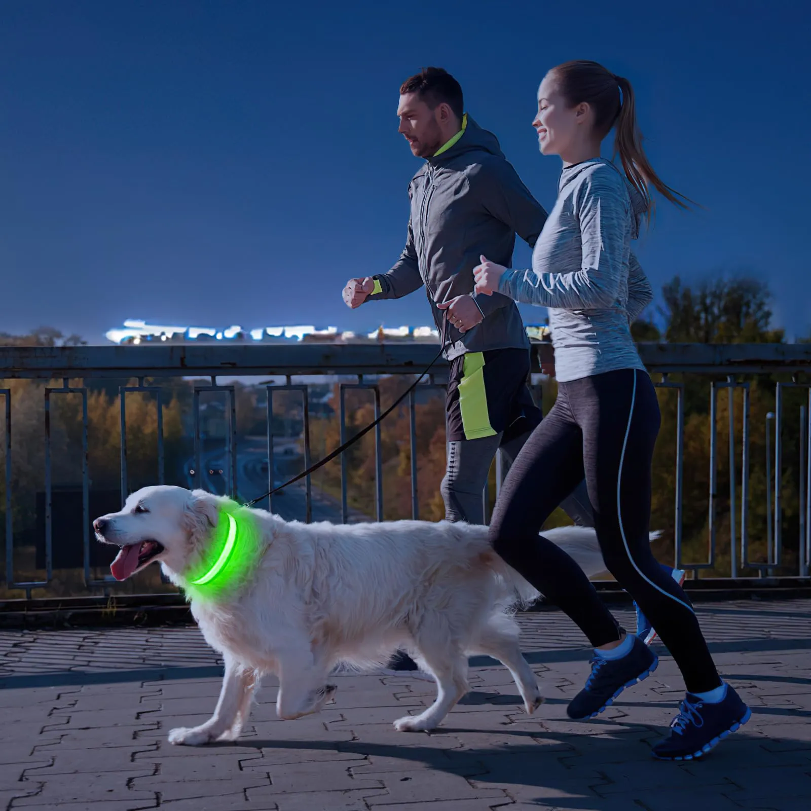 PcEoTllar Collare Luminoso per Cani, Impermeabile, Verde-L - immagine 7