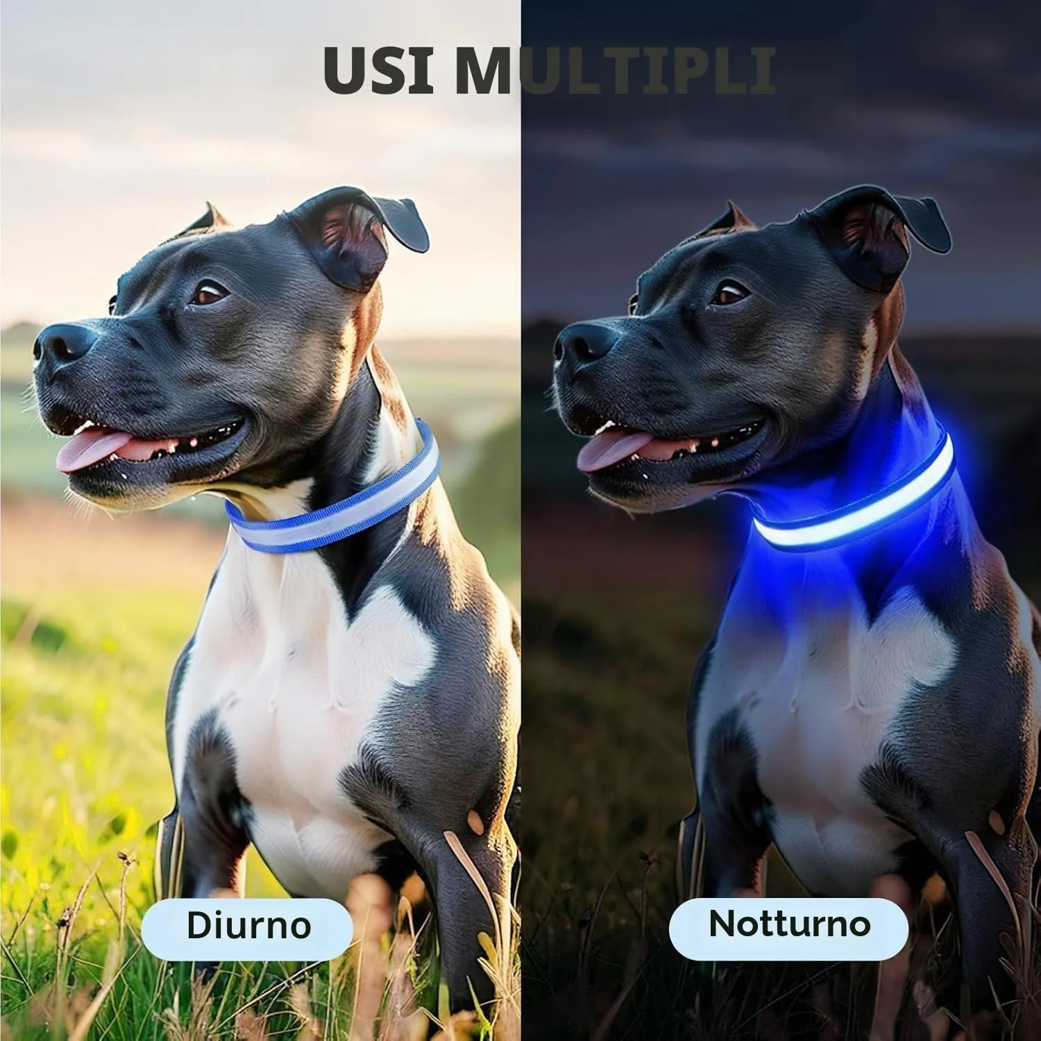 PcEoTllar Collare Luminoso per Cani, Impermeabile, Blu-L - immagine 6
