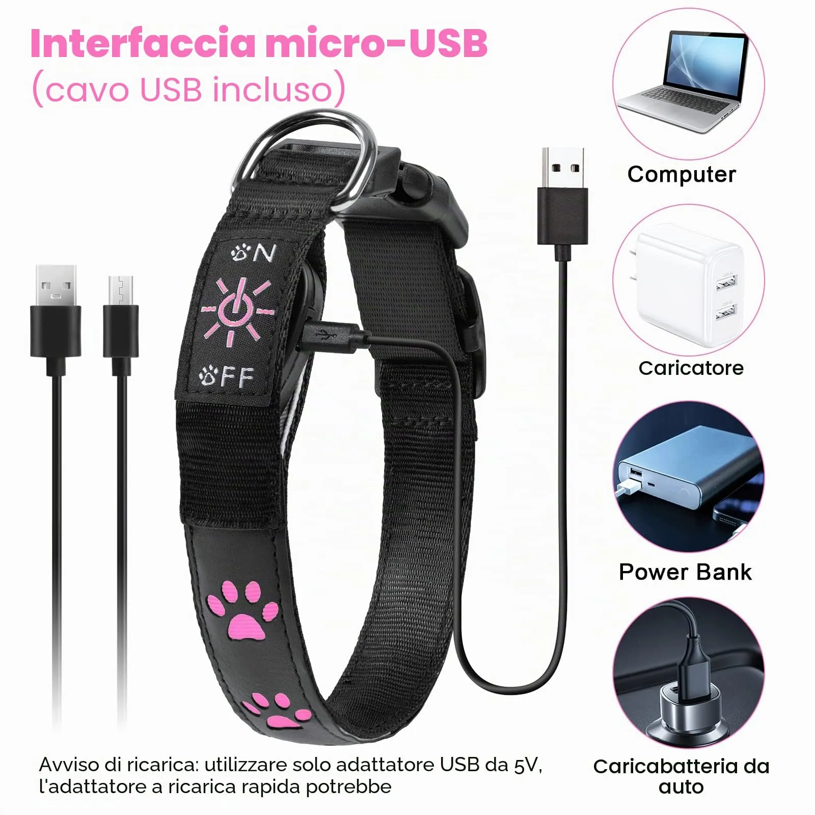 AUAUY Collare Luminoso per Cani, LED Ricaricabile e Impermeabile, Rosa-S - immagine 5