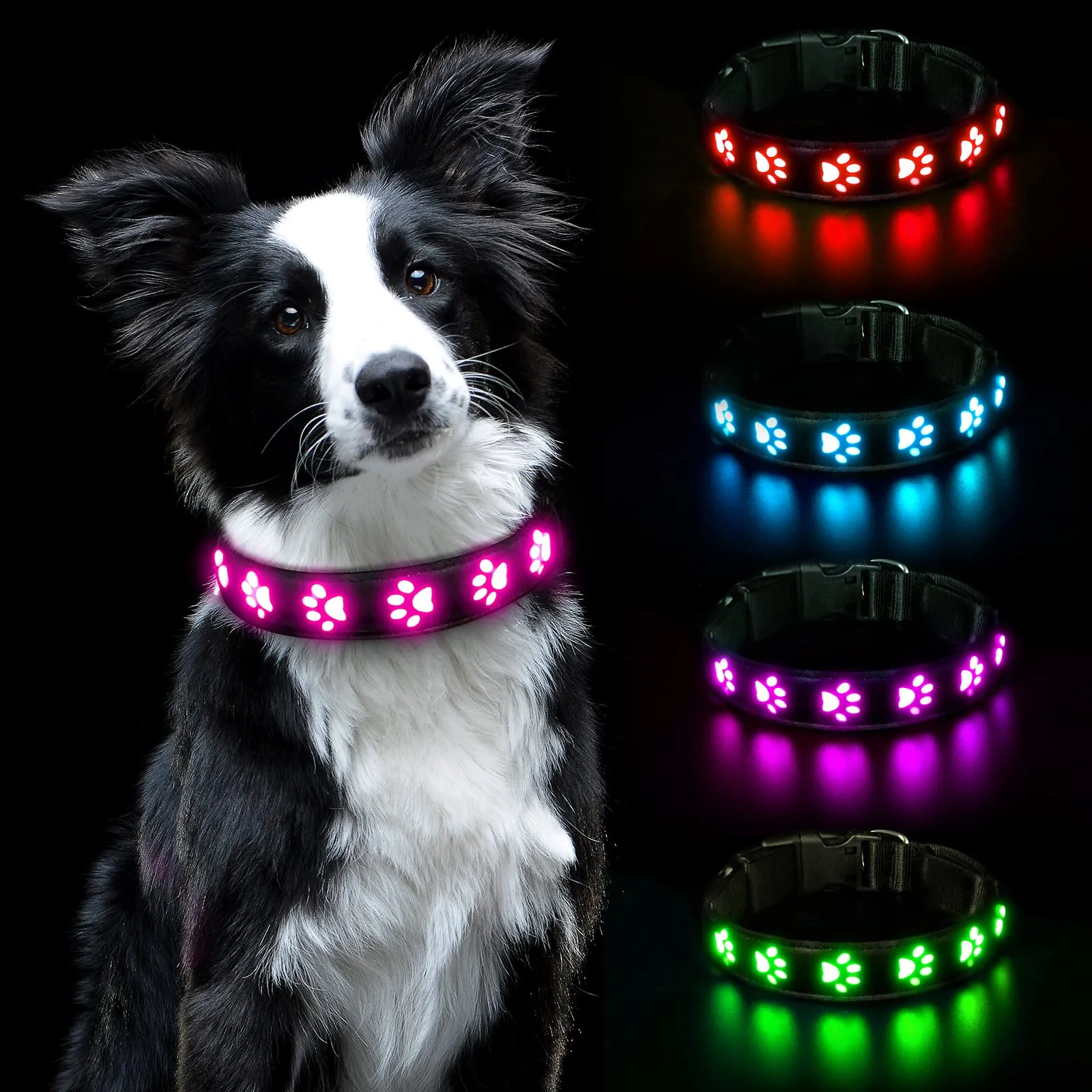 AUAUY Collare Luminoso per Cani, LED Ricaricabile e Impermeabile, Rosa-L - immagine 1