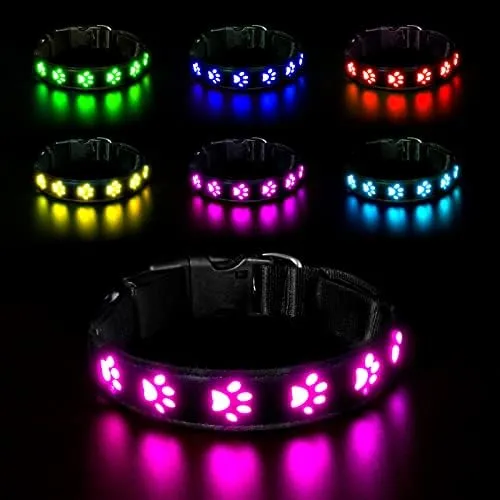 AUAUY Collare Luminoso per Cani, LED Ricaricabile e Impermeabile, Colore-L - immagine 1