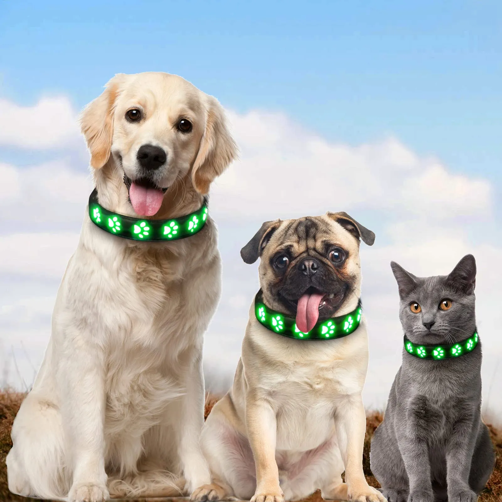 AUAUY Collare Luminoso per Cani, LED Ricaricabile e Impermeabile, Verde-M - immagine 7