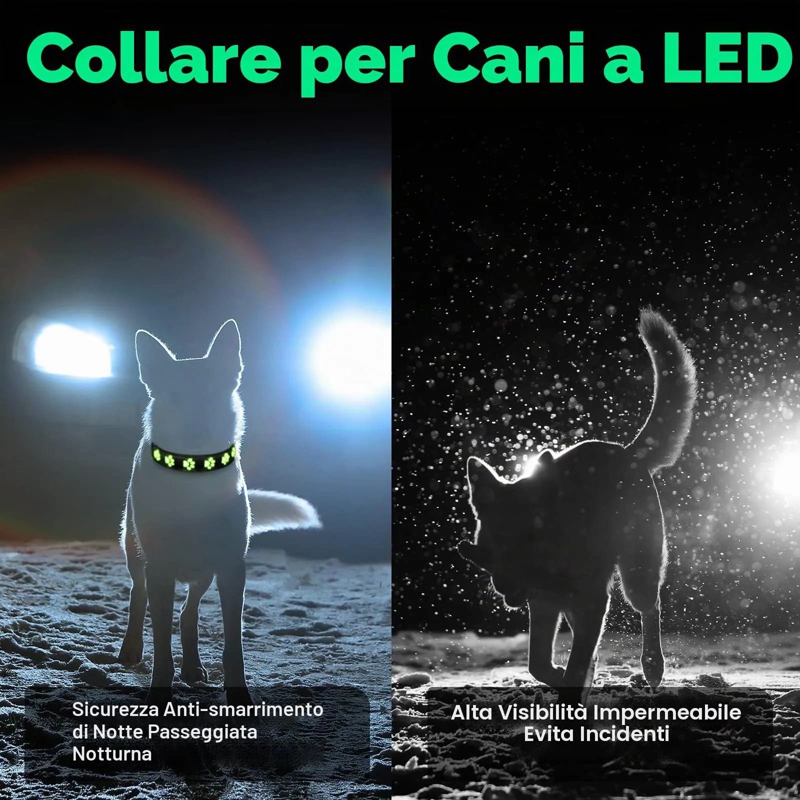 AUAUY Collare Luminoso per Cani, LED Ricaricabile e Impermeabile, Verde-M - immagine 8