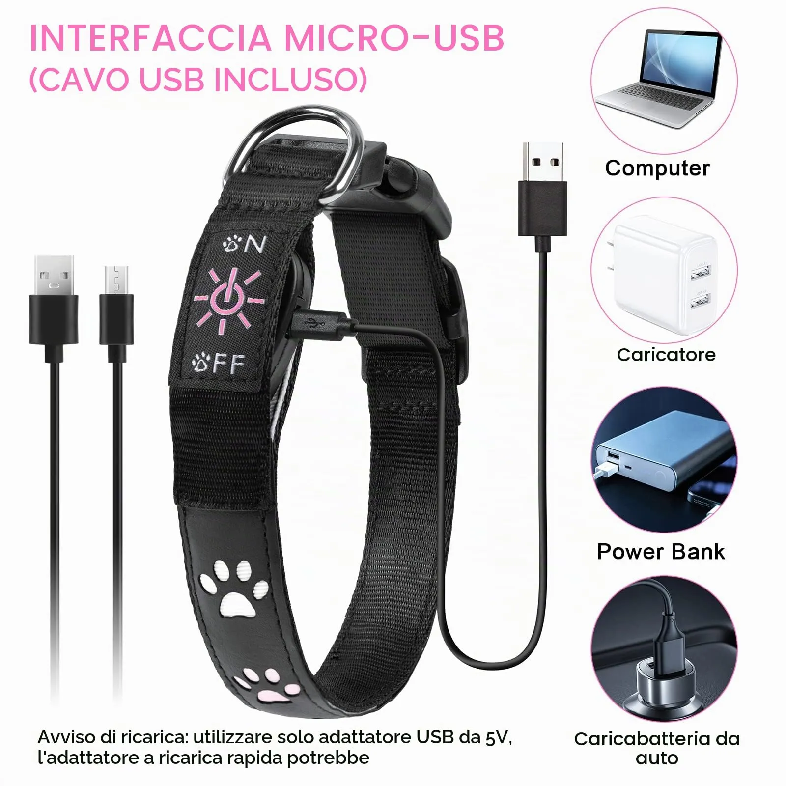 AUAUY Collare Luminoso per Cani, LED Ricaricabile e Impermeabile, Rosa-M - immagine 4