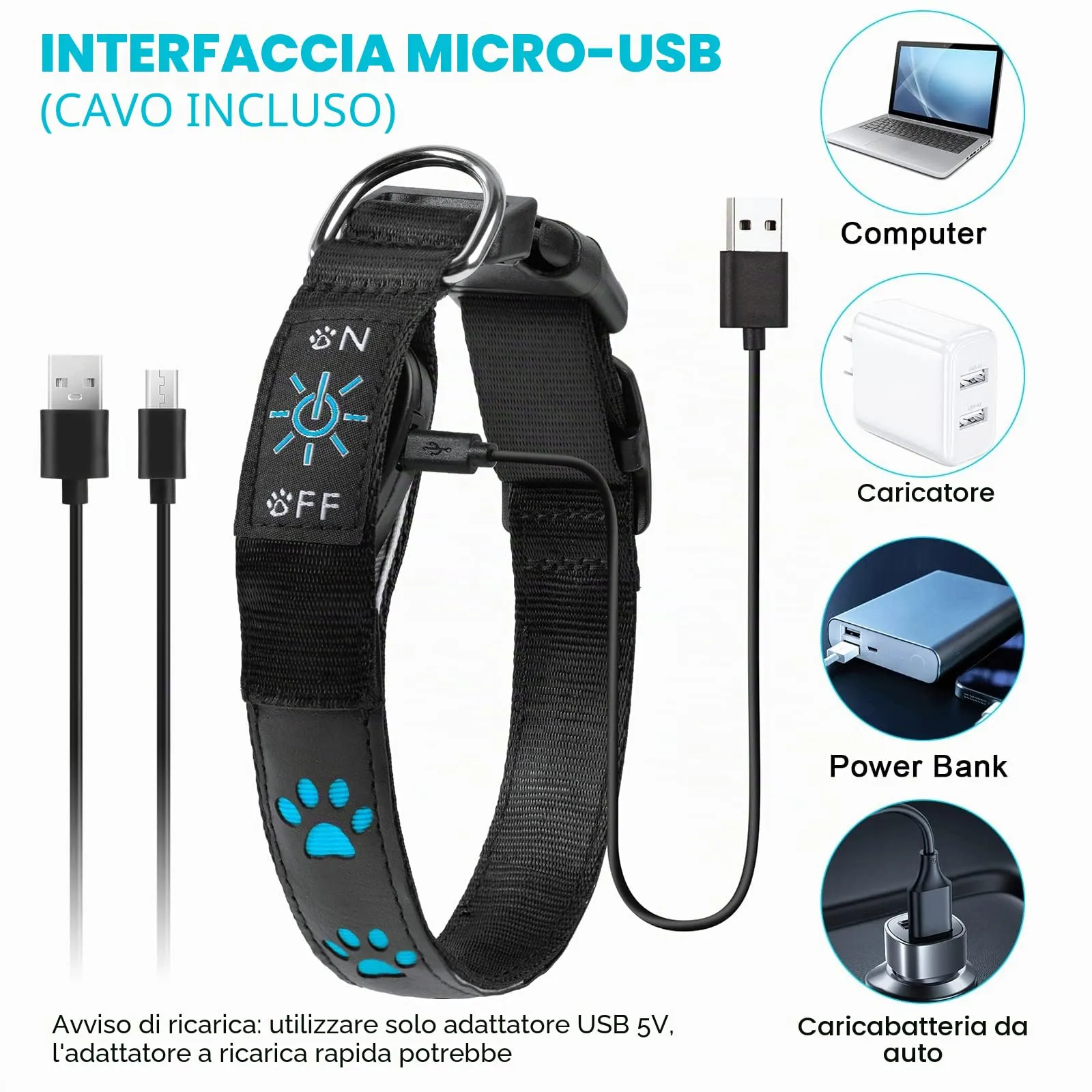 AUAUY Collare Luminoso per Cani, LED Ricaricabile e Impermeabile, Blu-L - immagine 3