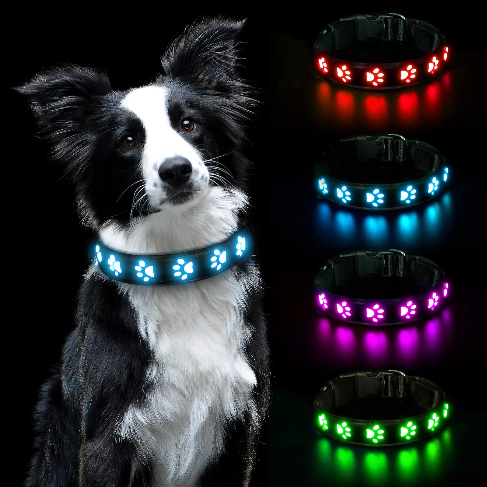 AUAUY Collare Luminoso per Cani, LED Ricaricabile e Impermeabile, Blu-S - immagine 1