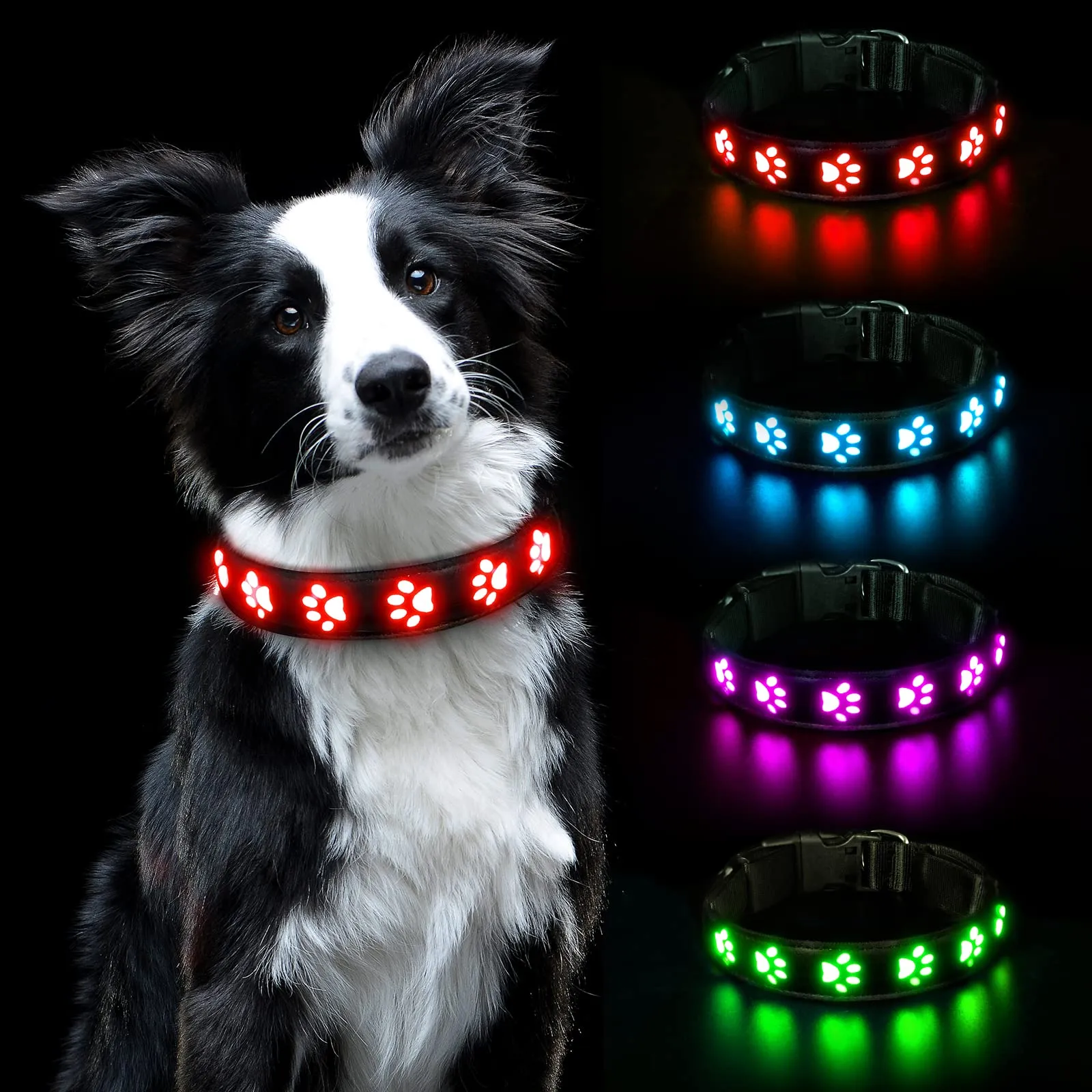 AUAUY Collare Luminoso per Cani, LED Ricaricabile e Impermeabile, Rosso-S - immagine 1