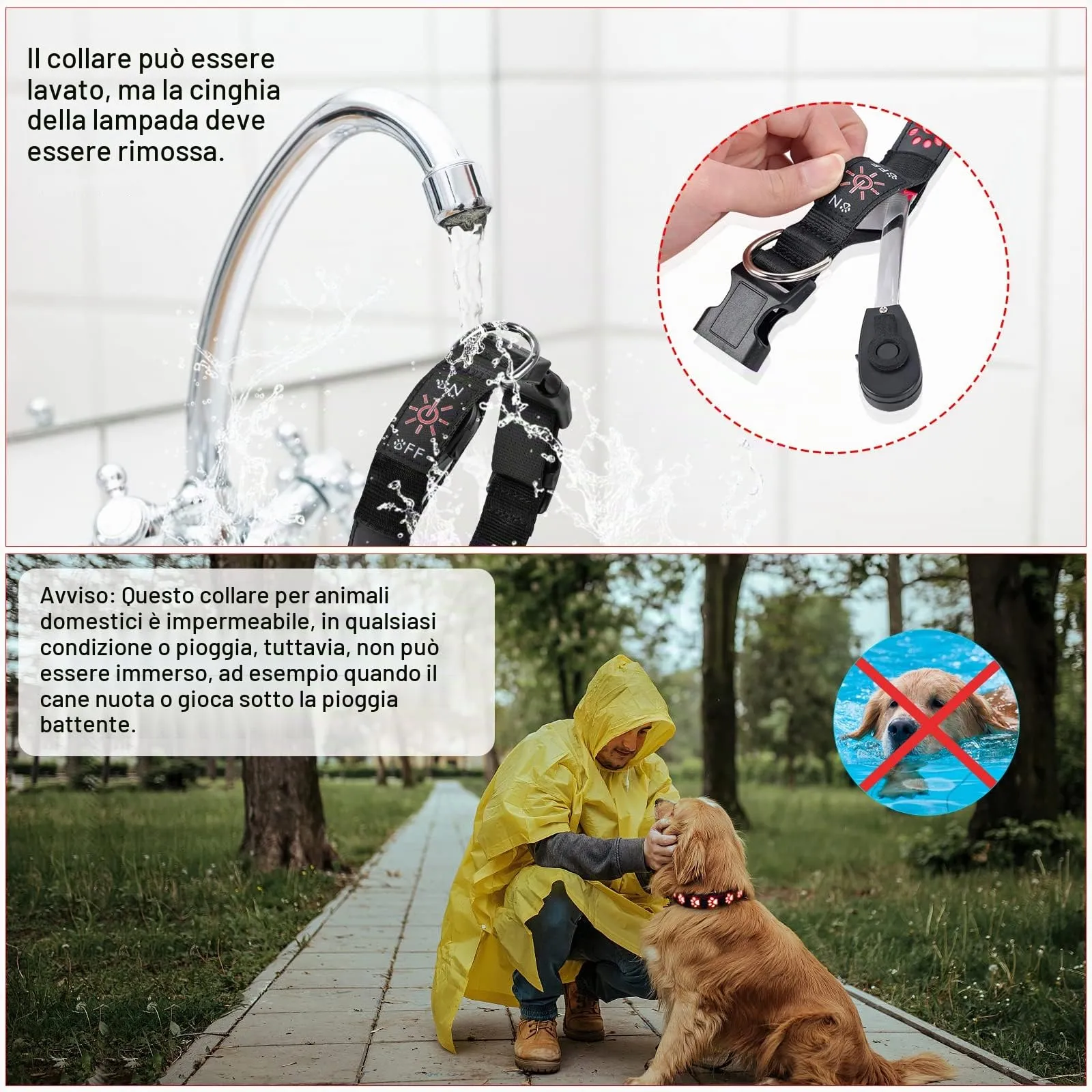 AUAUY Collare Luminoso per Cani, LED Ricaricabile e Impermeabile, Rosso-S - immagine 6