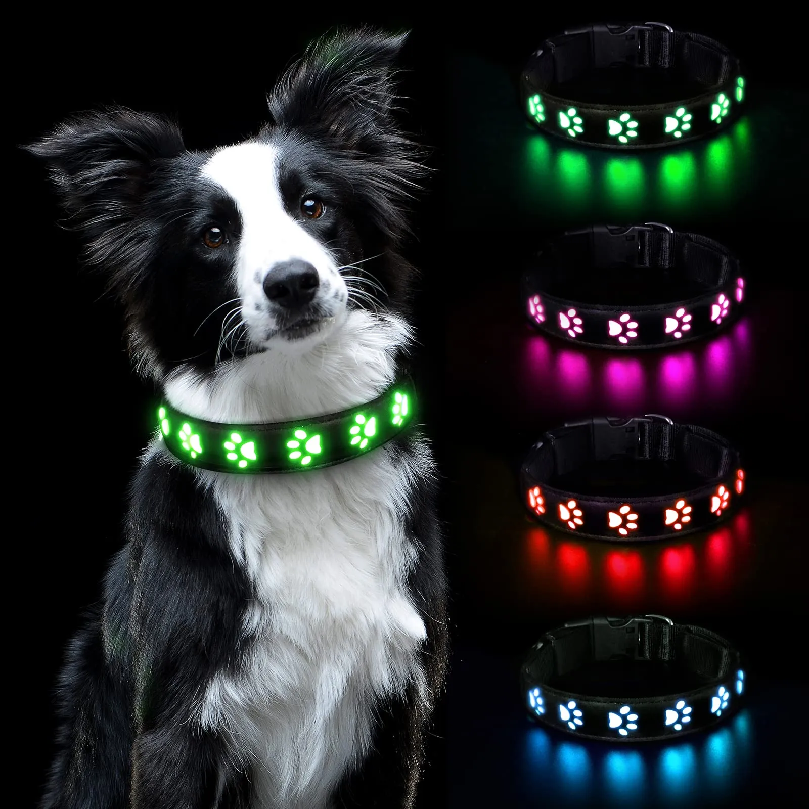 AUAUY Collare Luminoso per Cani, LED Ricaricabile e Impermeabile, Verde-L - immagine 1