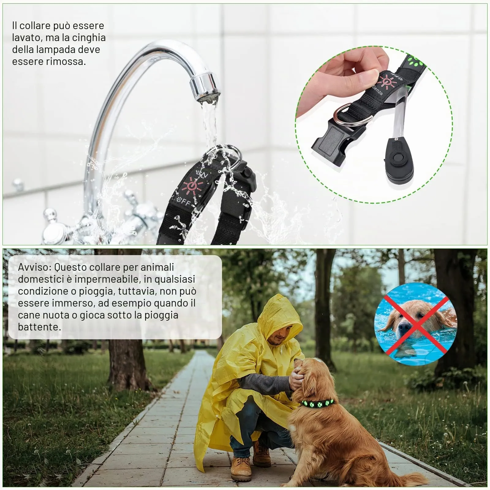 AUAUY Collare Luminoso per Cani, LED Ricaricabile e Impermeabile, Verde-L - immagine 8