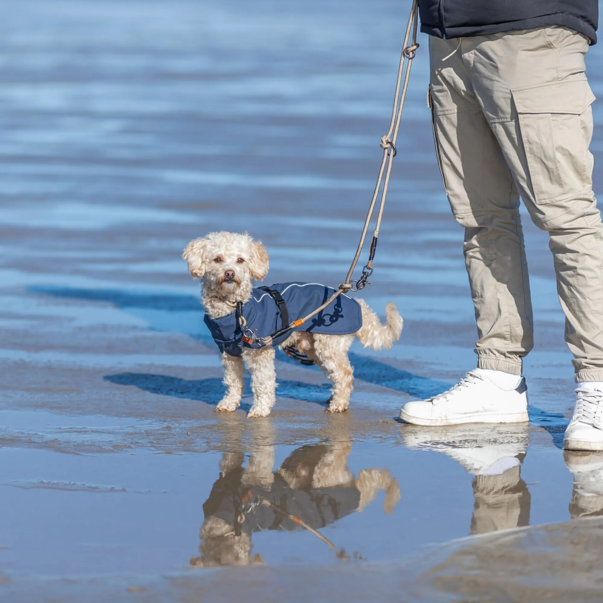 TRIXIE Collare per cani BE Nordic M sabbia/nero – comodo collare per cani di taglia media con limitatore di trazione – robusto ed elegante – 17274 - immagine 2