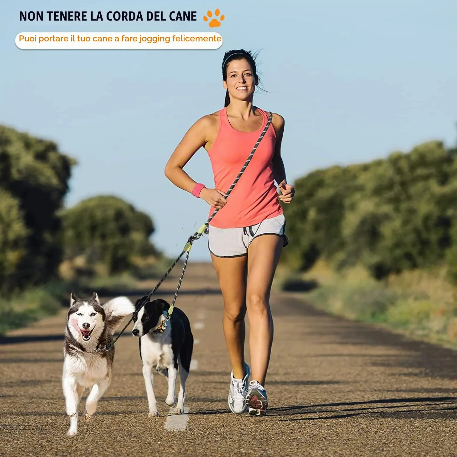 Guinzaglio Doppio per Cani 260 cm Riflettente Guinzaglio per Cani Grande Media e Piccola Camminata 360°Nessun Groviglio Colorato - immagine 5