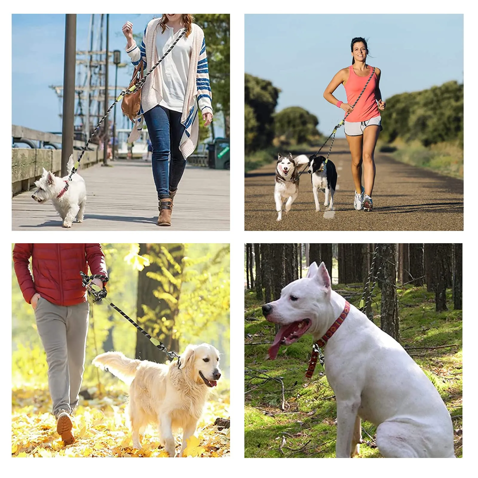 Guinzaglio Doppio per Cani 260 cm Riflettente Guinzaglio per Cani Grande Media e Piccola Camminata 360°Nessun Groviglio Colorato - immagine 6