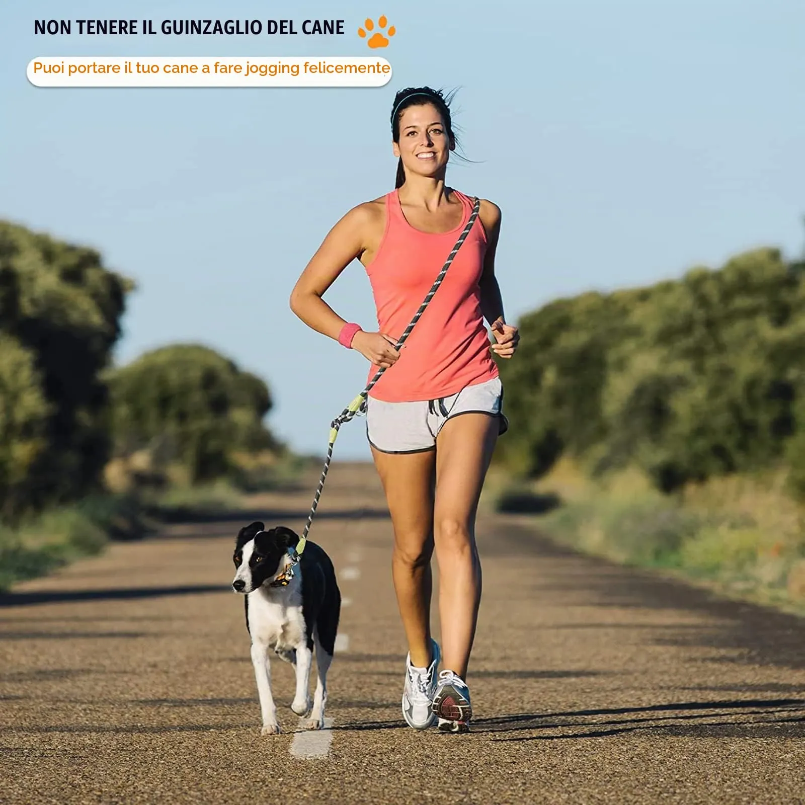Eyeleaf Guinzaglio Mani Libere per Cani Riflettente Guinzaglio per Cani 2,3 Metri Lungo Guinzaglio Addestramento per Cani Taglia Grande Media e Piccola Arancione - immagine 3
