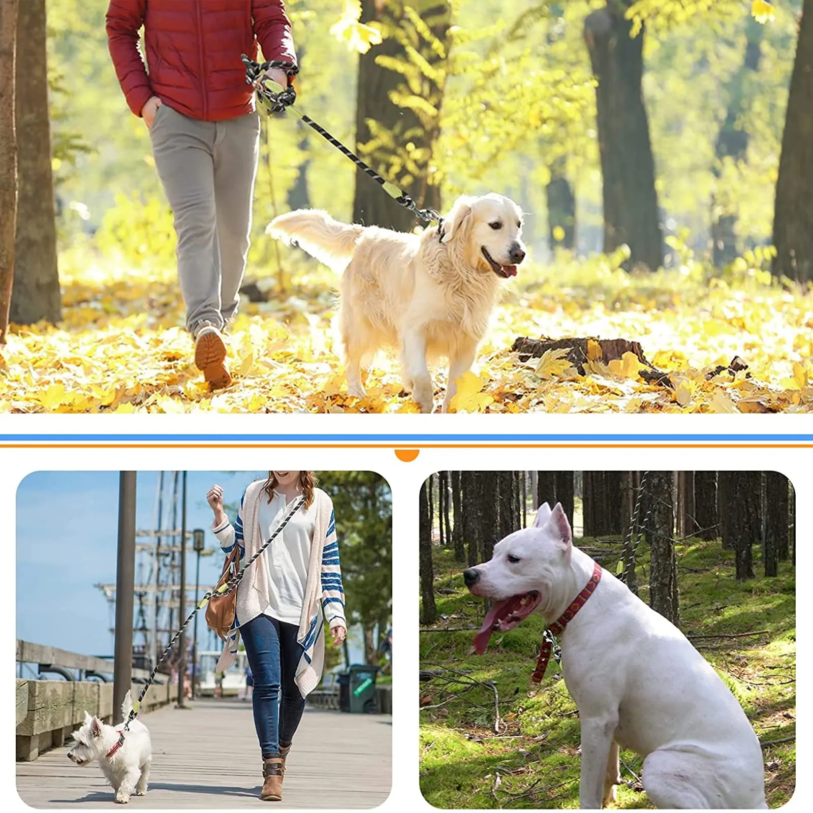 Eyeleaf Guinzaglio Mani Libere per Cani Riflettente Guinzaglio per Cani 2,3 Metri Lungo Guinzaglio Addestramento per Cani Taglia Grande Media e Piccola Arancione - immagine 6