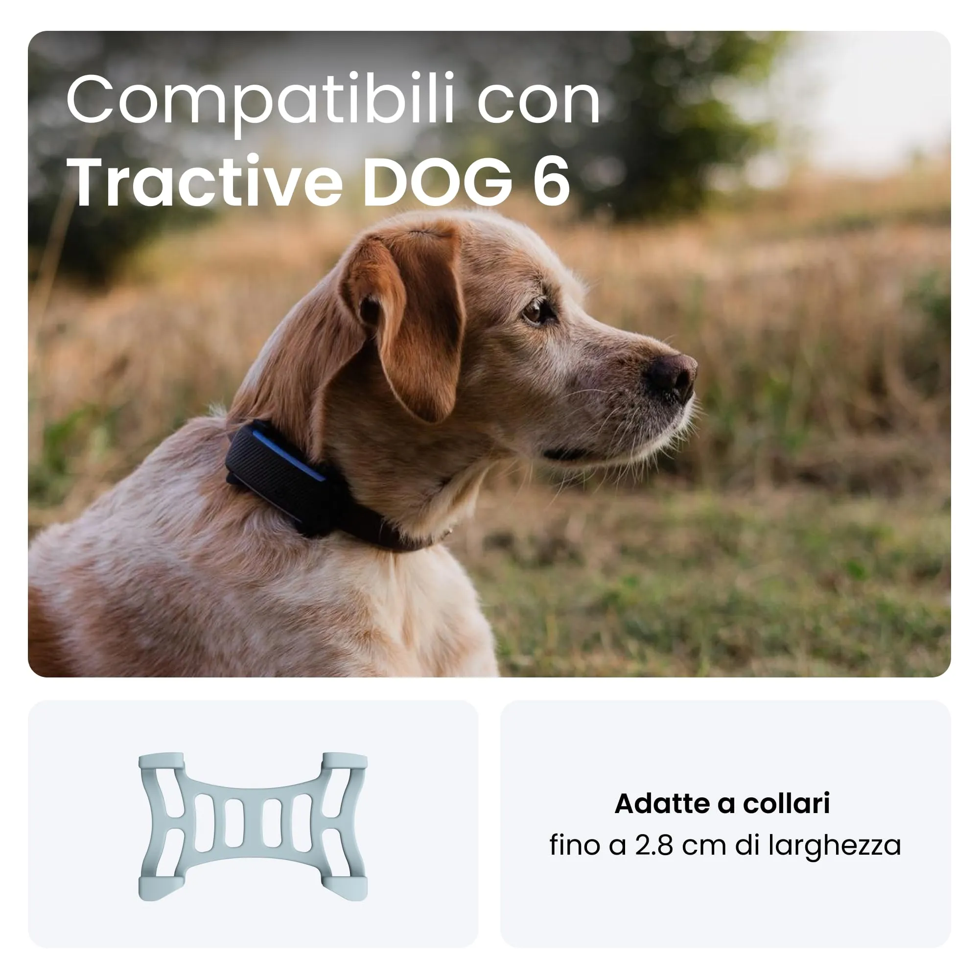 Tractive - 2 clip di gomma per GPS per cani Tractive DOG 6 (menta) - immagine 4