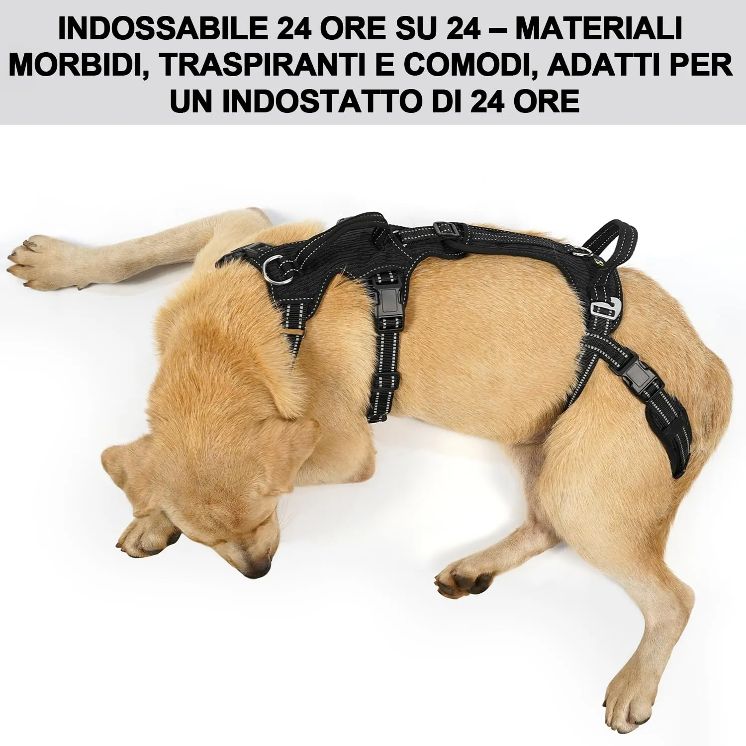 COODEO Imbracatura per Cani, Supporto e Fodera per Passeggio, Gilet di Riabilitazione per Zampe Posteriori, Trasportino per Cani Anziani con Infortuni e Artrite, Aiuto per Salire le Scale. (Nero, M) - immagine 7