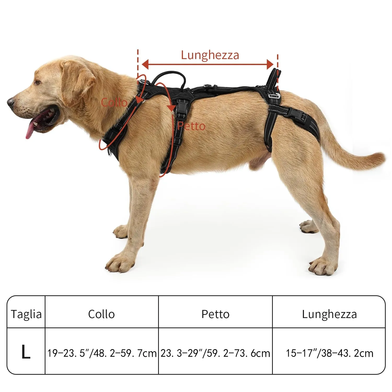 COODEO Imbracatura per Cani, Supporto e Fodera per Passeggio, Gilet di Riabilitazione per Zampe Posteriori, Trasportino per Cani Anziani con Infortuni e Artrite, Aiuto per Salire le Scale. (Nero, L) - immagine 5