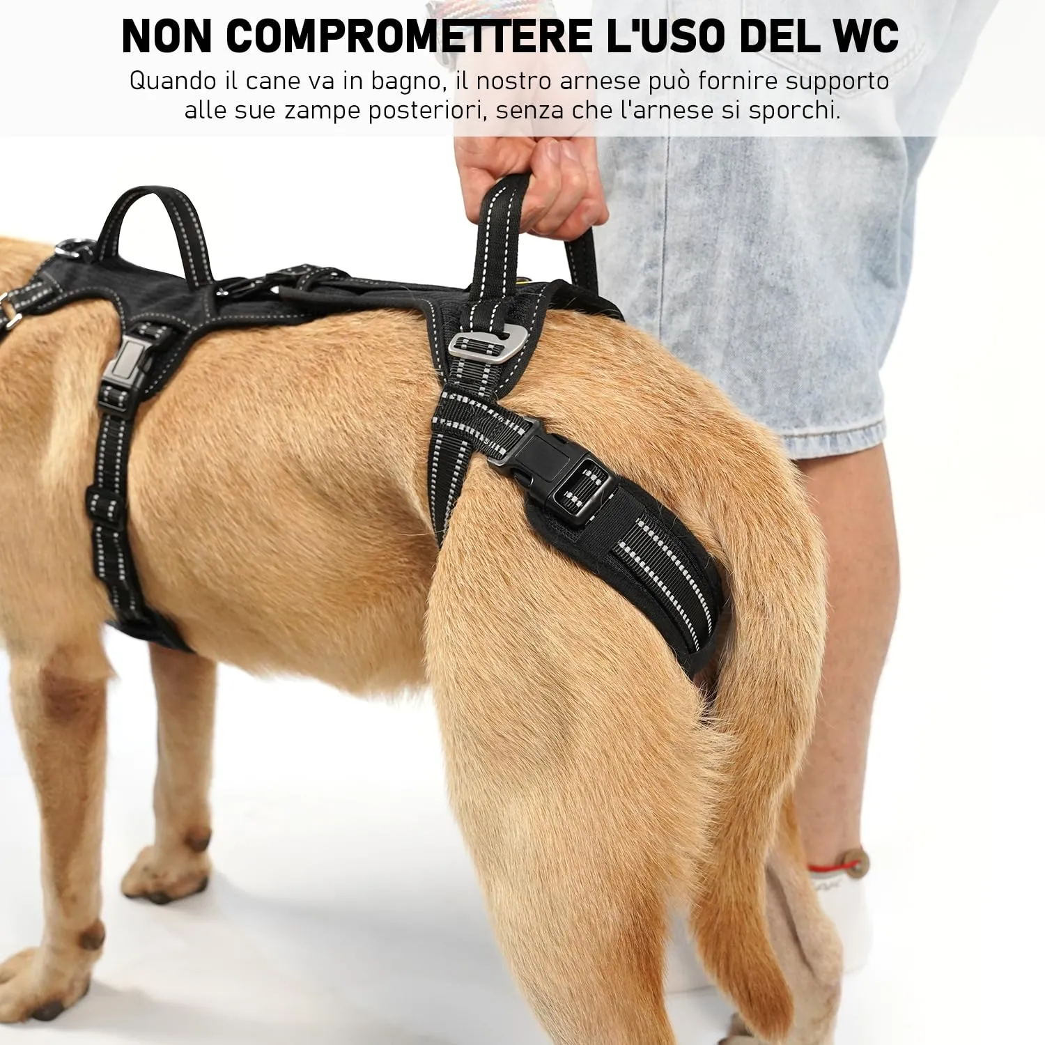 COODEO Imbracatura per Cani, Supporto e Fodera per Passeggio, Gilet di Riabilitazione per Zampe Posteriori, Trasportino per Cani Anziani con Infortuni e Artrite, Aiuto per Salire le Scale. (Nero, L) - immagine 6