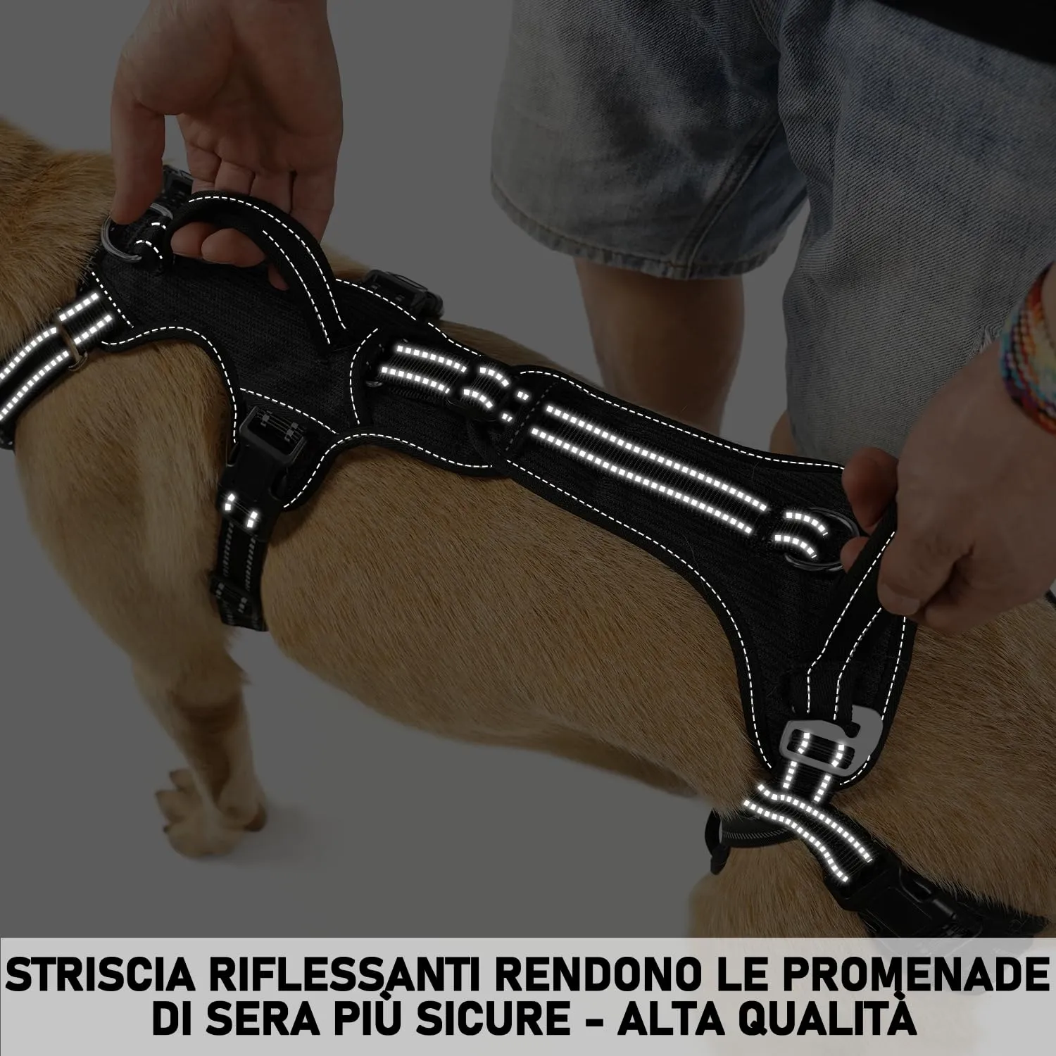 COODEO Imbracatura per Cani, Supporto e Fodera per Passeggio, Gilet di Riabilitazione per Zampe Posteriori, Trasportino per Cani Anziani con Infortuni e Artrite, Aiuto per Salire le Scale. (Nero, L) - immagine 8