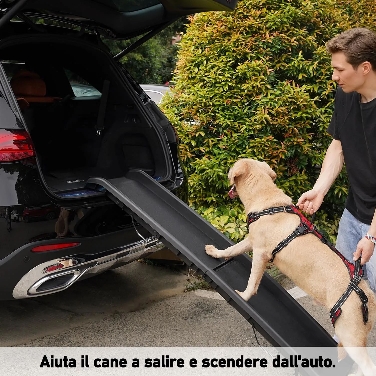 COODEO Imbracatura Cani, Supporto Passeggio, Gilet Riabilitazione Zampe Posteriori, Aiuto Cani Anziani, Infortuni e Artrite, Supporto per Scale. (Rosso, M) - immagine 2