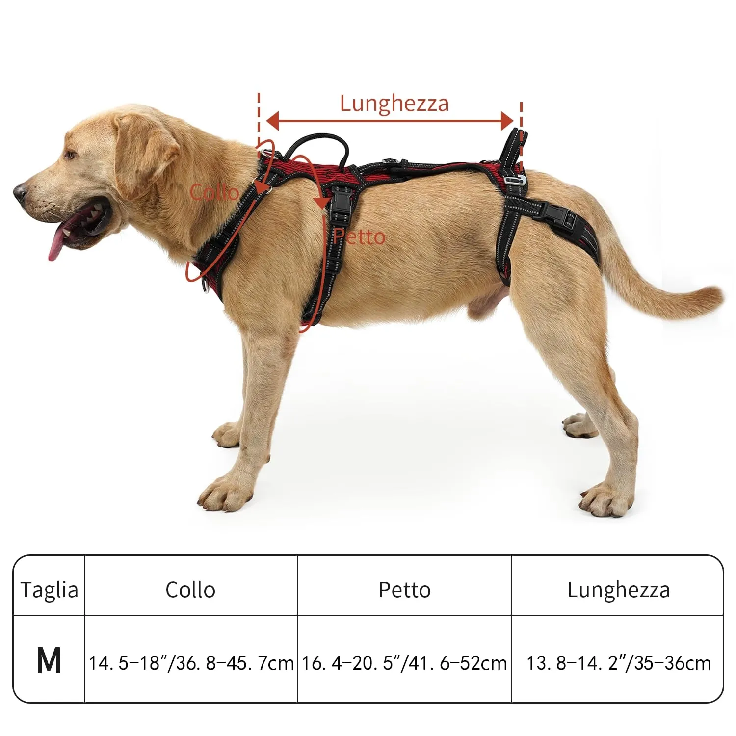 COODEO Imbracatura Cani, Supporto Passeggio, Gilet Riabilitazione Zampe Posteriori, Aiuto Cani Anziani, Infortuni e Artrite, Supporto per Scale. (Rosso, M) - immagine 5