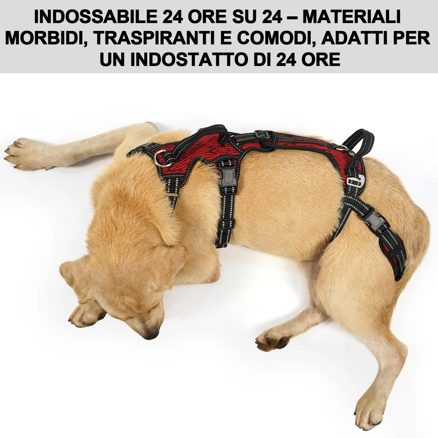 COODEO Imbracatura Cani, Supporto Passeggio, Gilet Riabilitazione Zampe Posteriori, Aiuto Cani Anziani, Infortuni e Artrite, Supporto per Scale. (Rosso, M) - immagine 7
