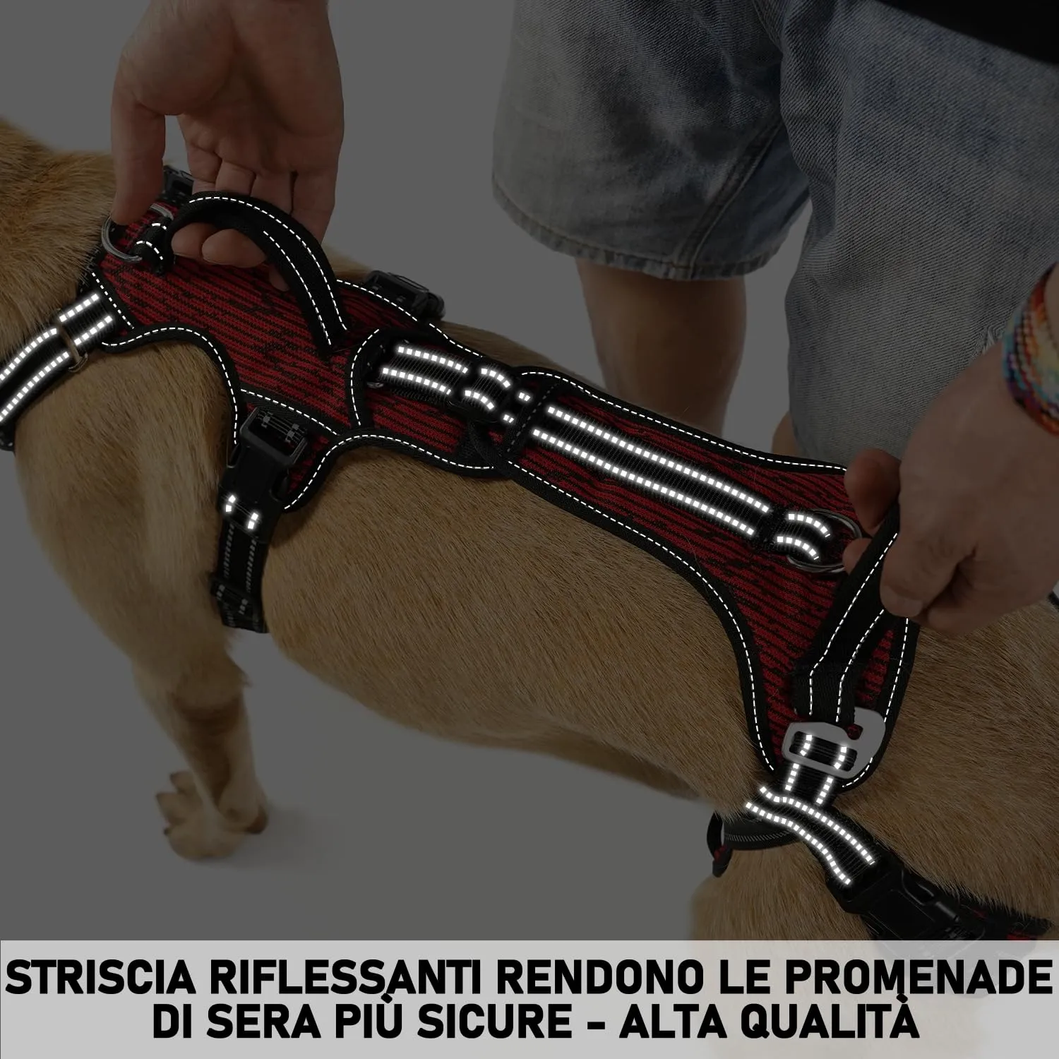 COODEO Imbracatura Cani, Supporto Passeggio, Gilet Riabilitazione Zampe Posteriori, Aiuto Cani Anziani, Infortuni e Artrite, Supporto per Scale. (Rosso, M) - immagine 8