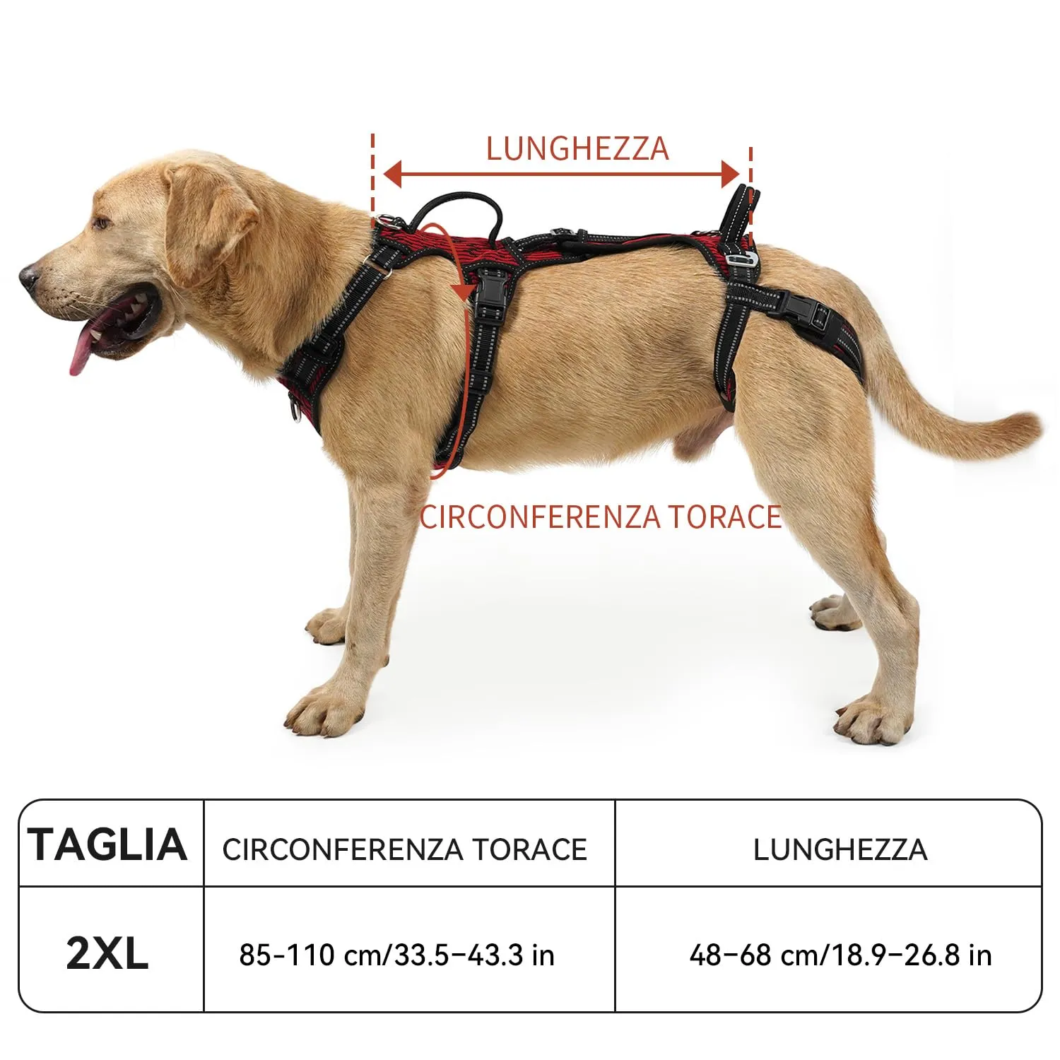 COODEO Imbracatura Cani, Supporto Passeggio, Gilet Riabilitazione Zampe Posteriori, Aiuto Cani Anziani, Infortuni e Artrite, Supporto per Scale. (Rosso, XXL) - immagine 5