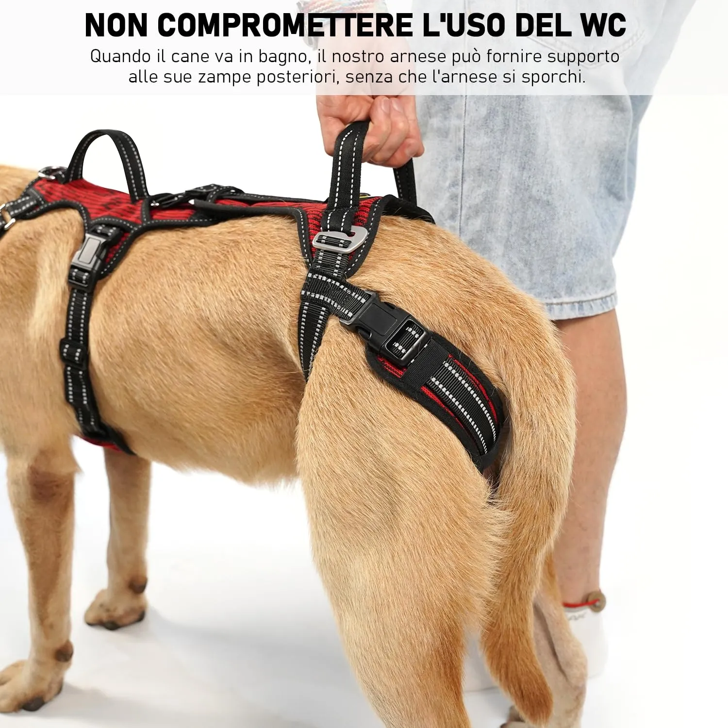 COODEO Imbracatura Cani, Supporto Passeggio, Gilet Riabilitazione Zampe Posteriori, Aiuto Cani Anziani, Infortuni e Artrite, Supporto per Scale. (Rosso, XXL) - immagine 6