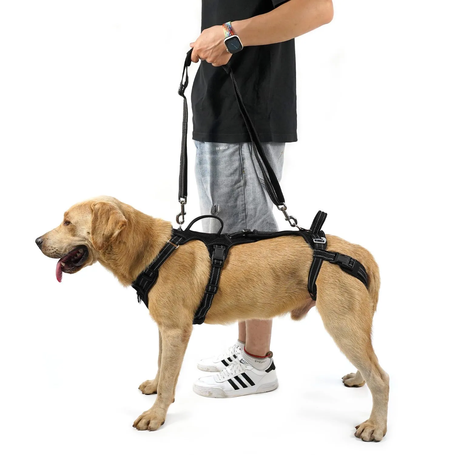 COODEO Imbracatura Cani, Supporto Passeggio, Gilet Riabilitazione Zampe Posteriori, Aiuto Cani Anziani, Infortuni e Artrite, Supporto per Scale. (Nero, XXL) - immagine 1
