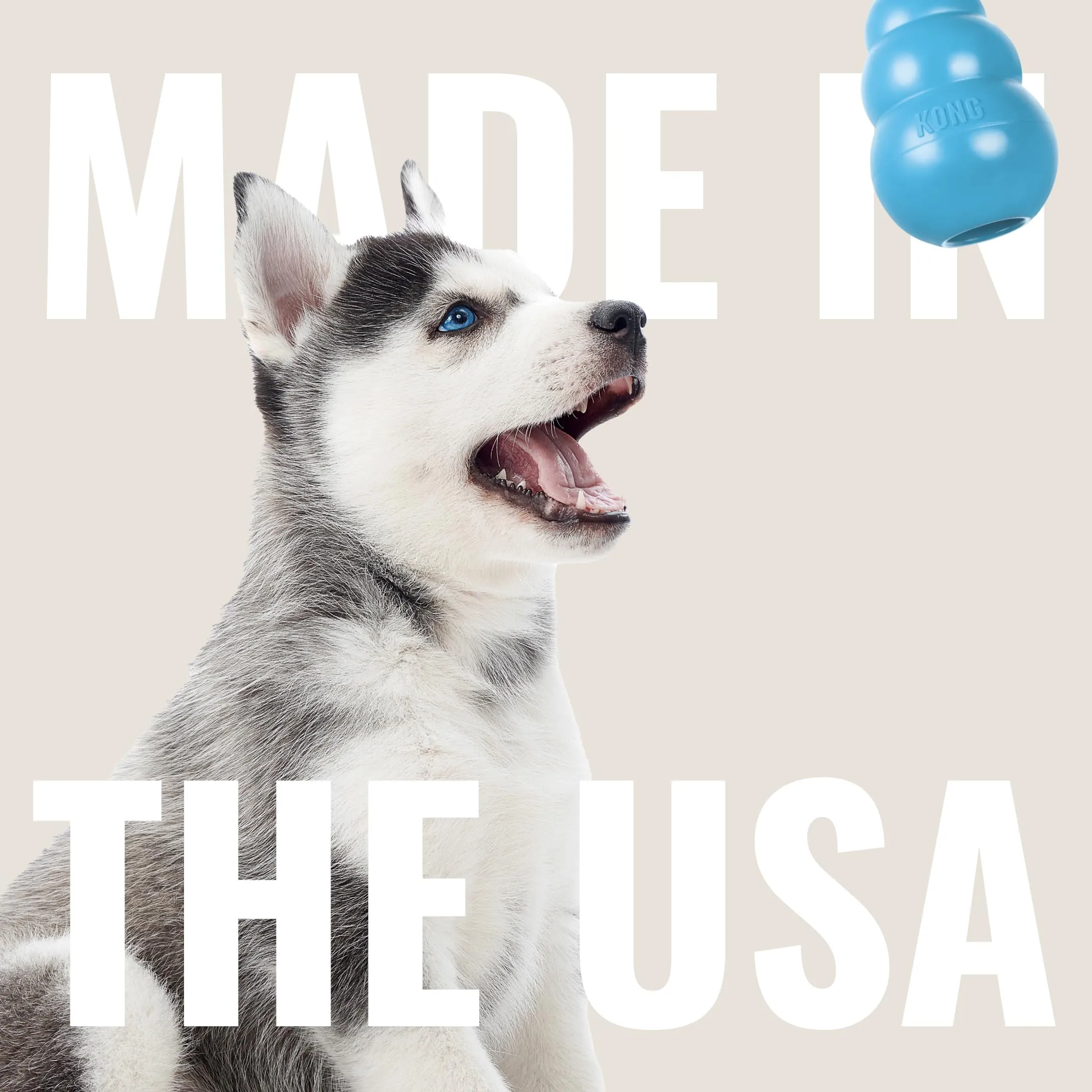 KONG Puppy Activity Ball da Masticare per Cuccioli, Taglia Piccola - immagine 6