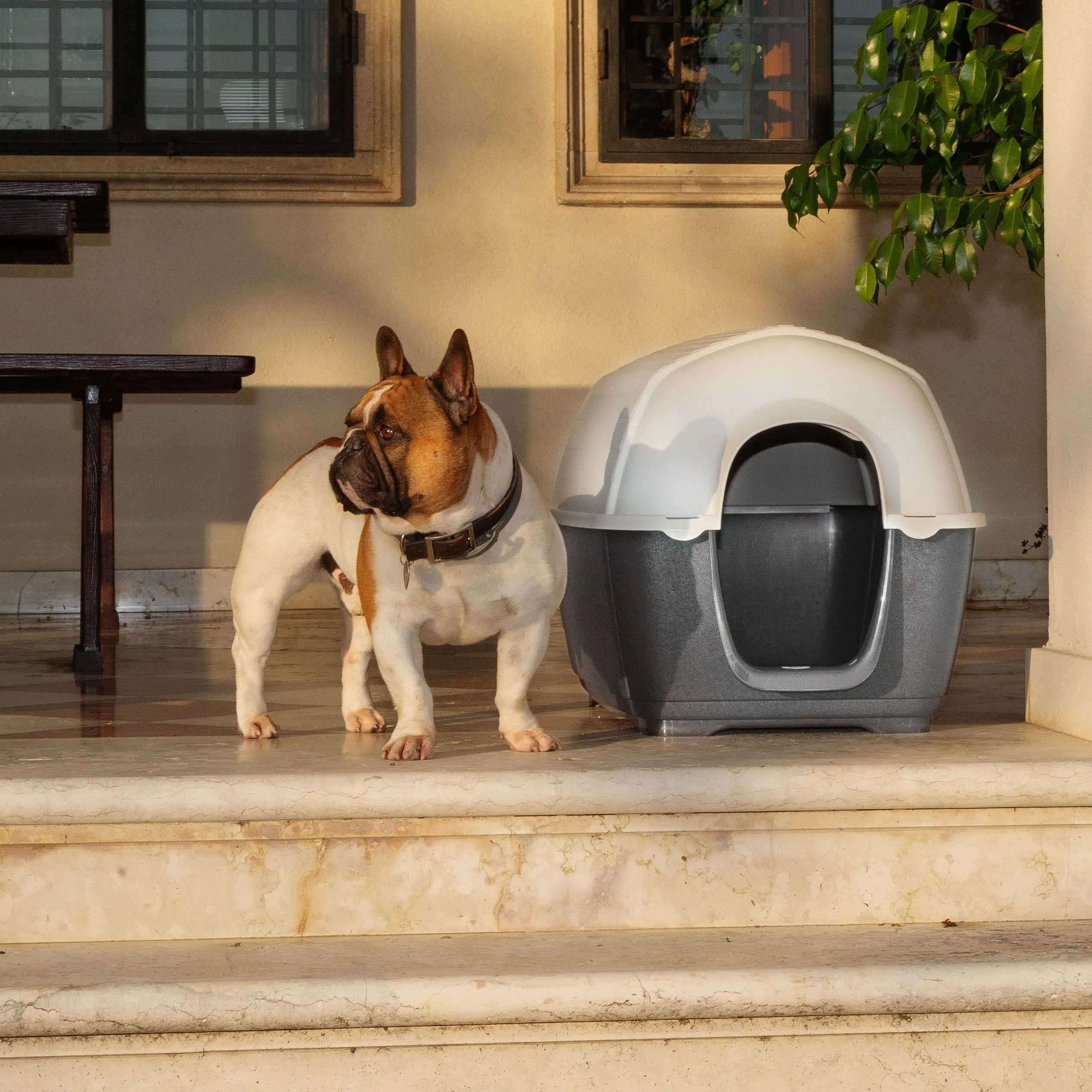 Ferplast Cuccia da Esterno per Cani Kenny 01 Casetta per Cani in Resina Termoplastica Resistente Urti e Raggi UV, Sistema di Drenaggio, Griglia per L'Aerazione, Smontabile, 50 X 78 X 50 cm - immagine 2