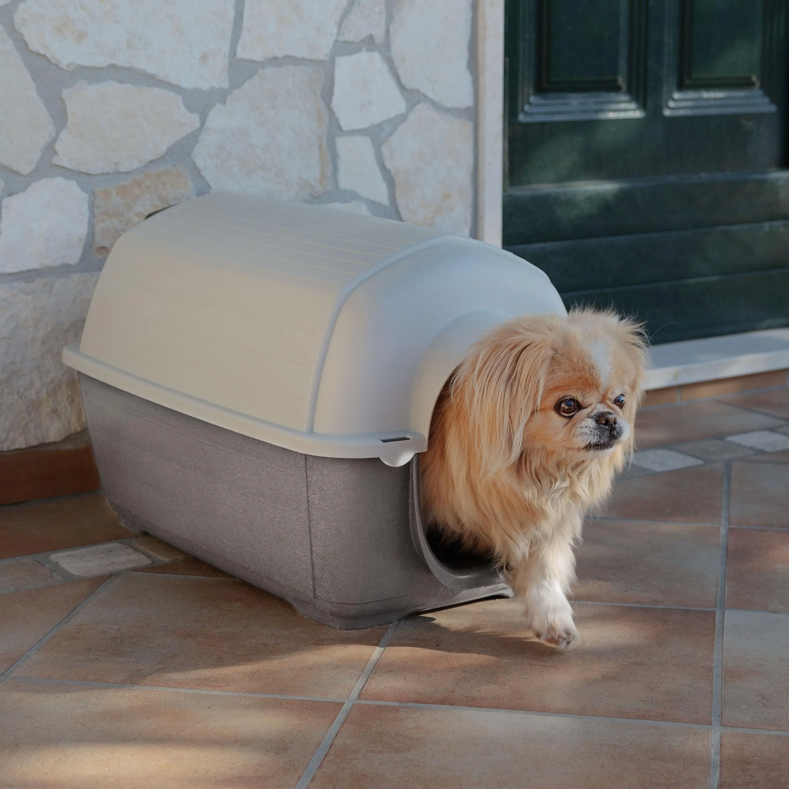 Ferplast Cuccia da Esterno per Cani Kenny Mini Casetta per Cani in Resina Termoplastica Resistente Urti e Raggi Uv, Sistema di Drenaggio, Griglia per L'Aerazione, Smontabile, 40 X 66 X 40 cm - immagine 2