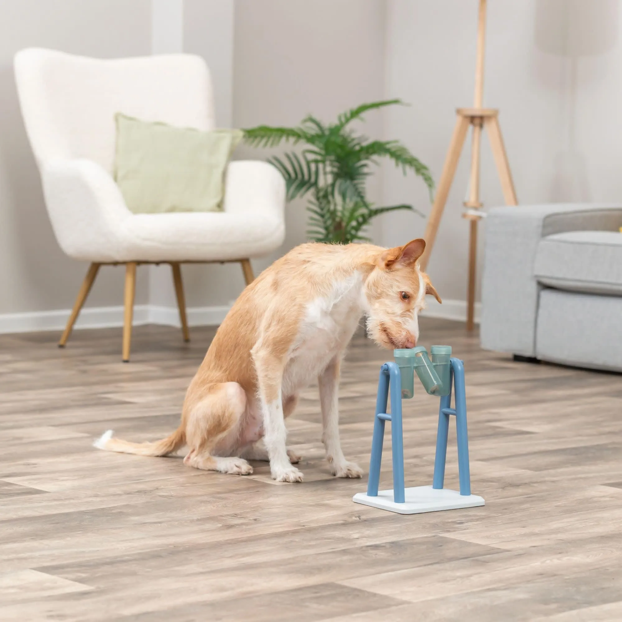 TRIXIE Dog Activity Turn Around gioco di strategia per cani – 22 × 33 cm - immagine 2